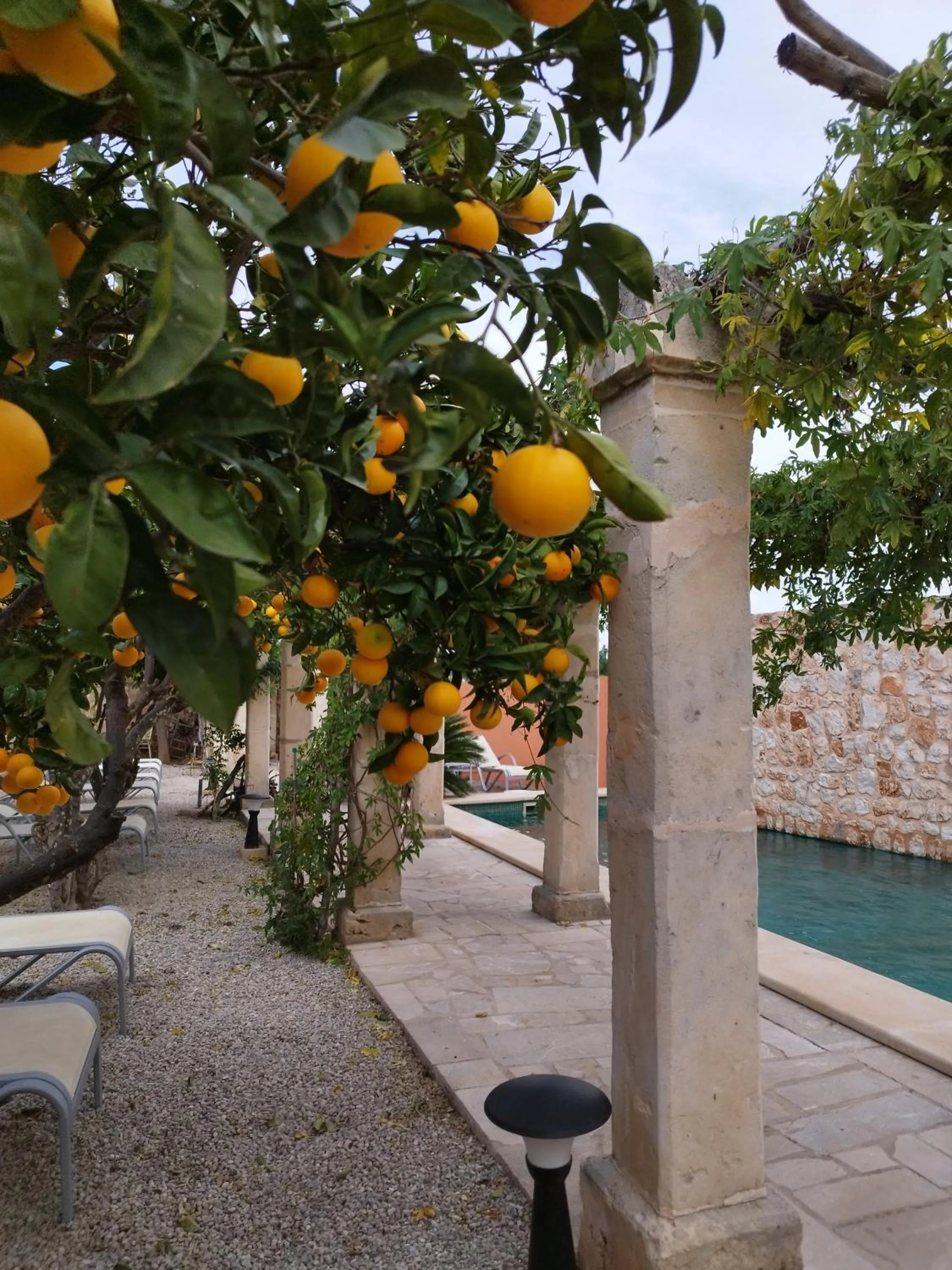 PETIT HOTEL ALGAIDA
