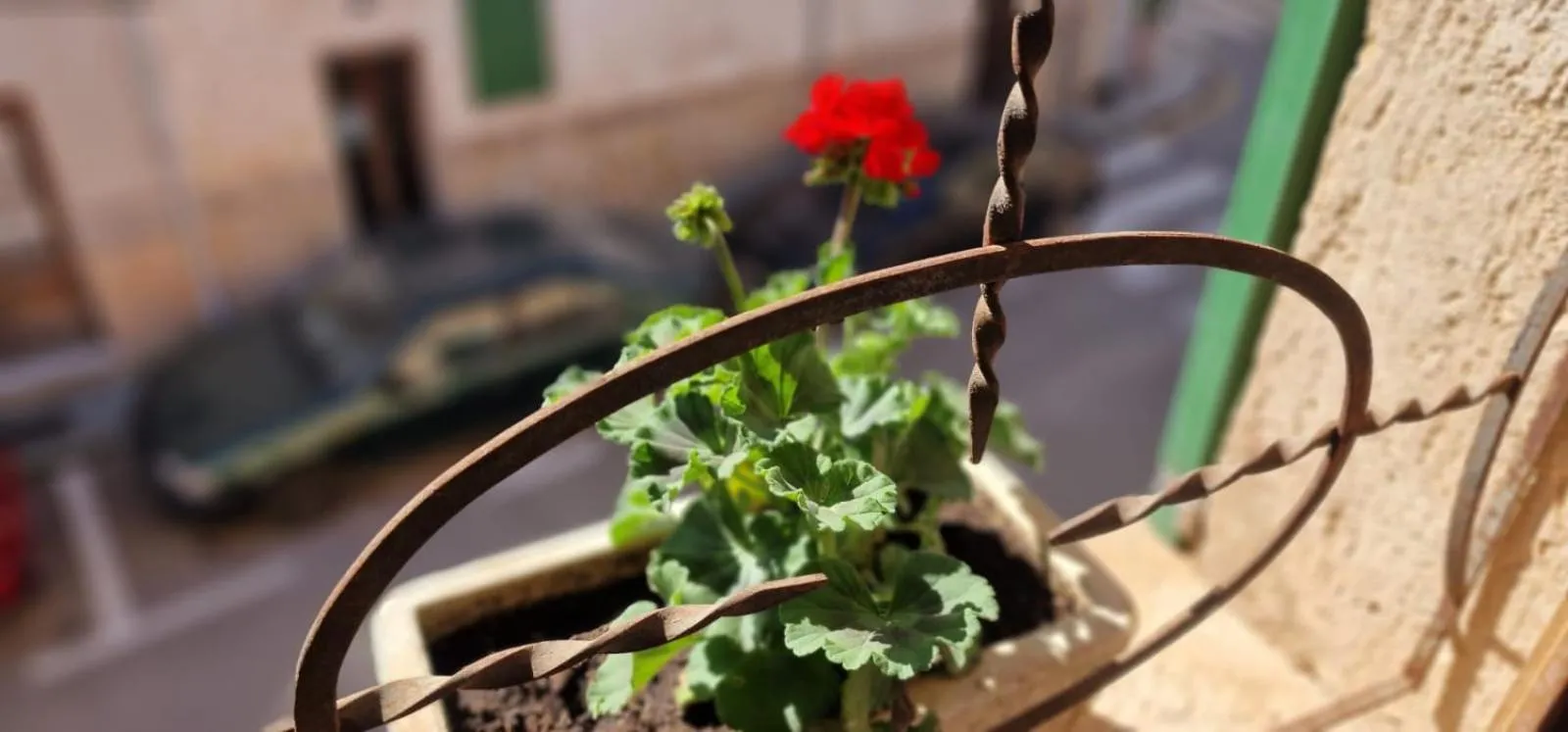PETIT HOTEL ALGAIDA