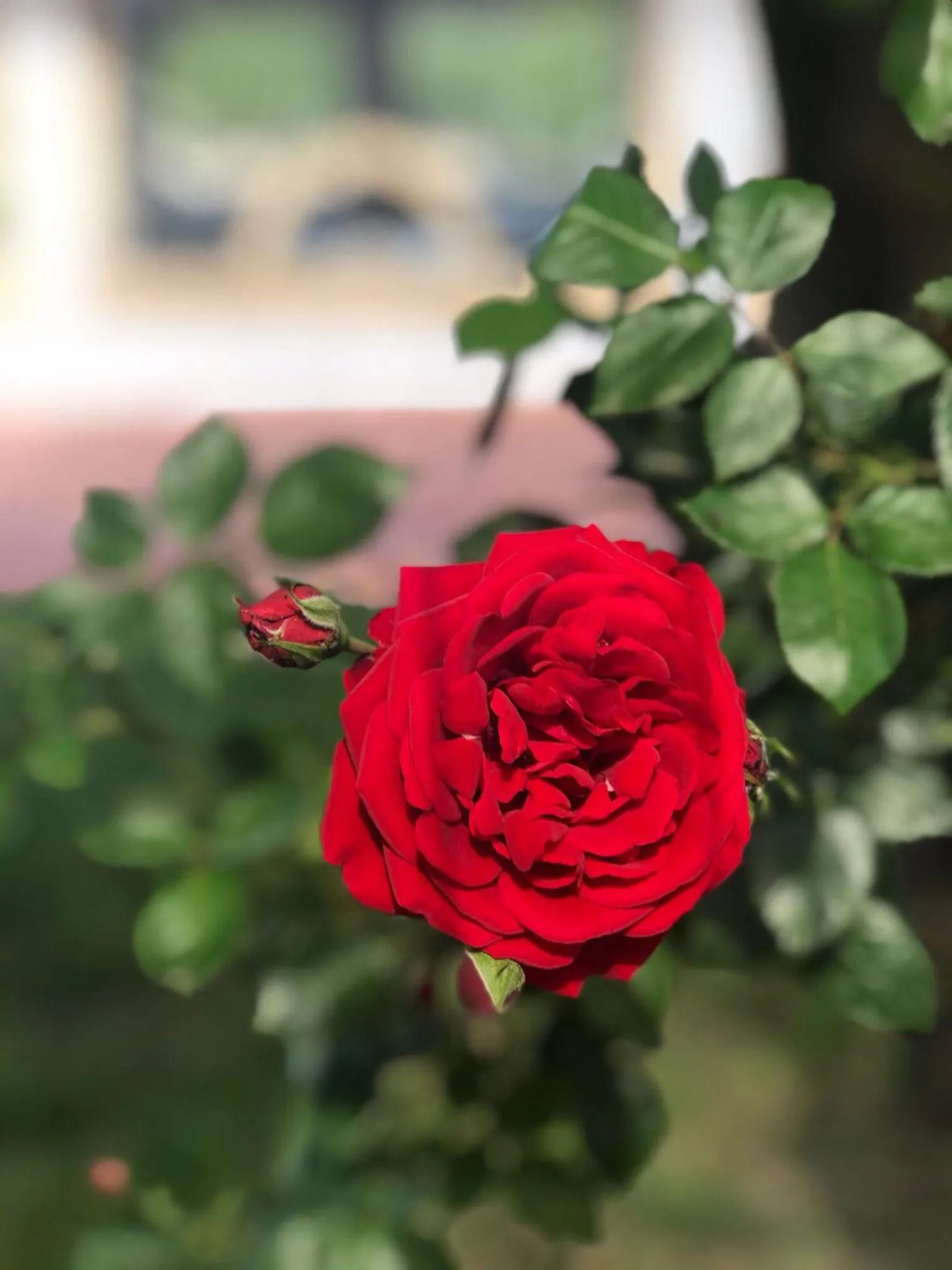 Dream Town Hotel&Restaurant