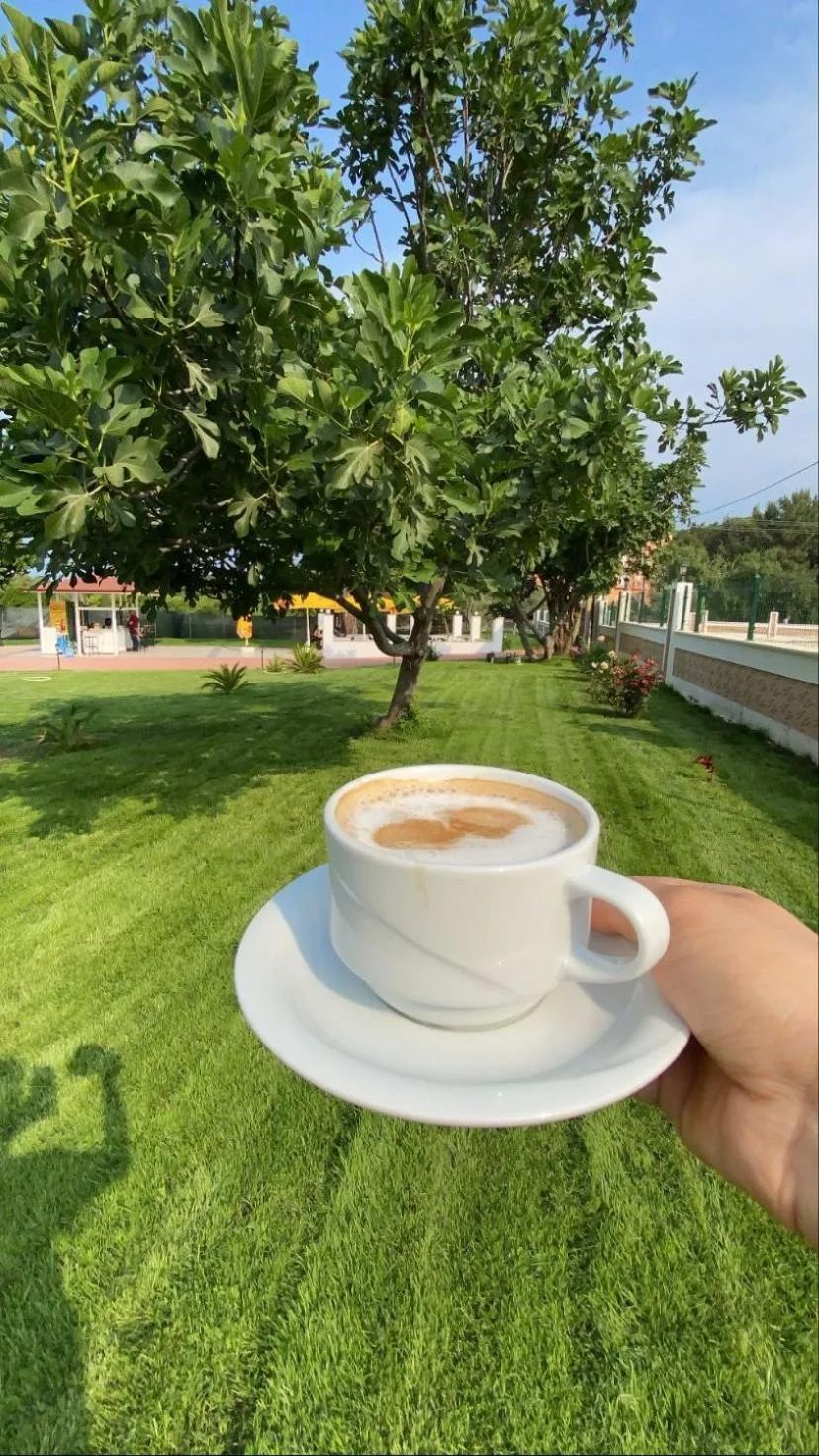 Natural landscape in Dream Town Hotel&Restaurant