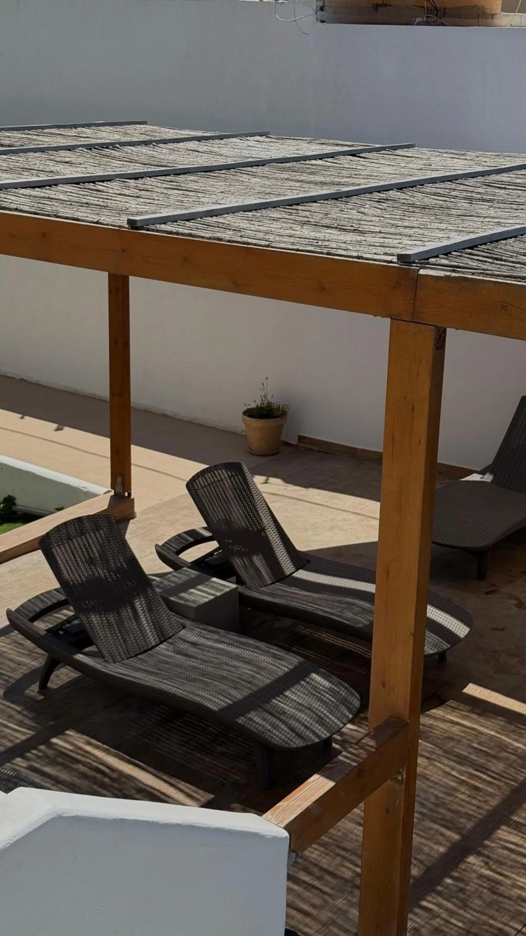 sunbed in Coralli Beach Hotel