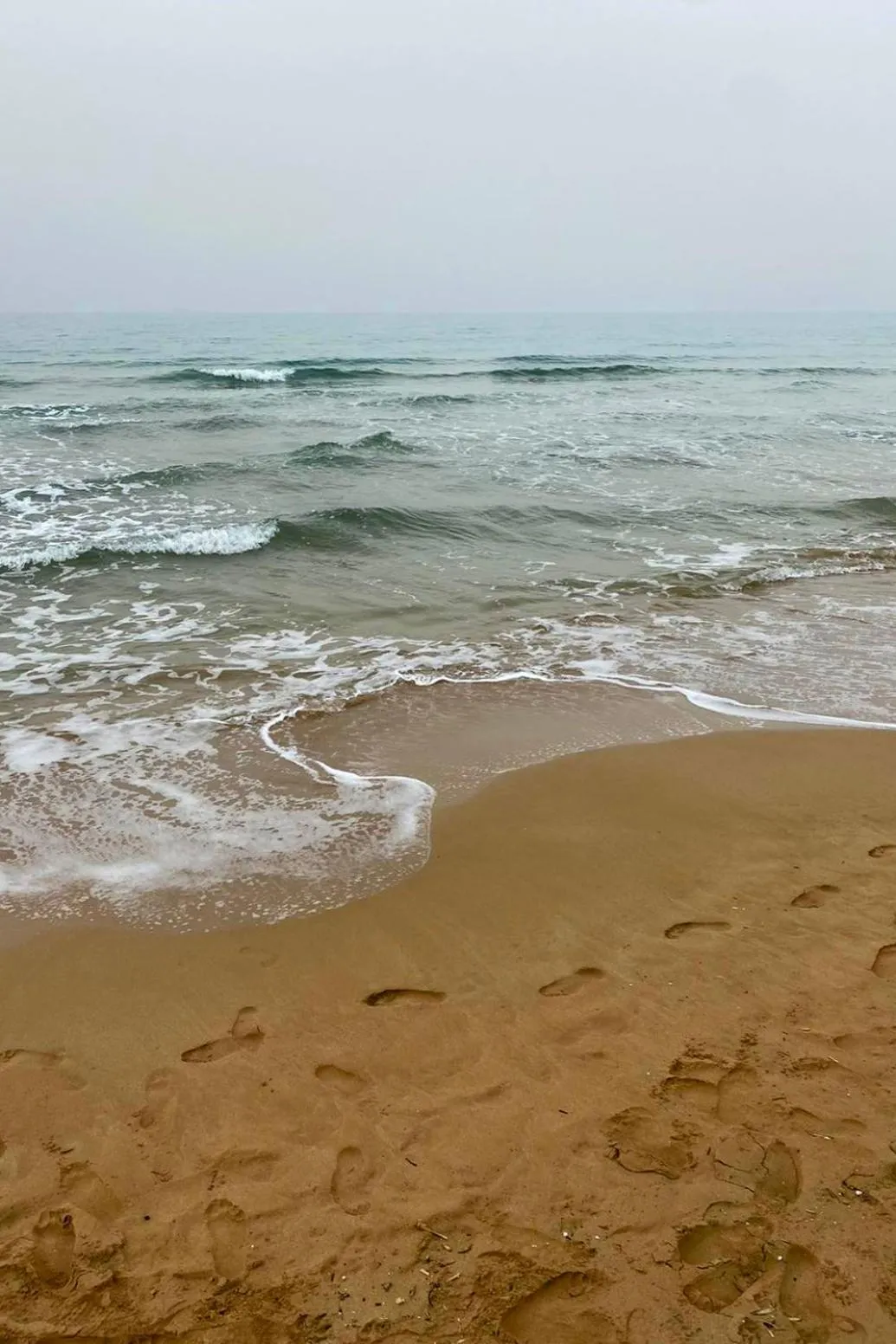 Area and facilities in Coralli Beach Hotel