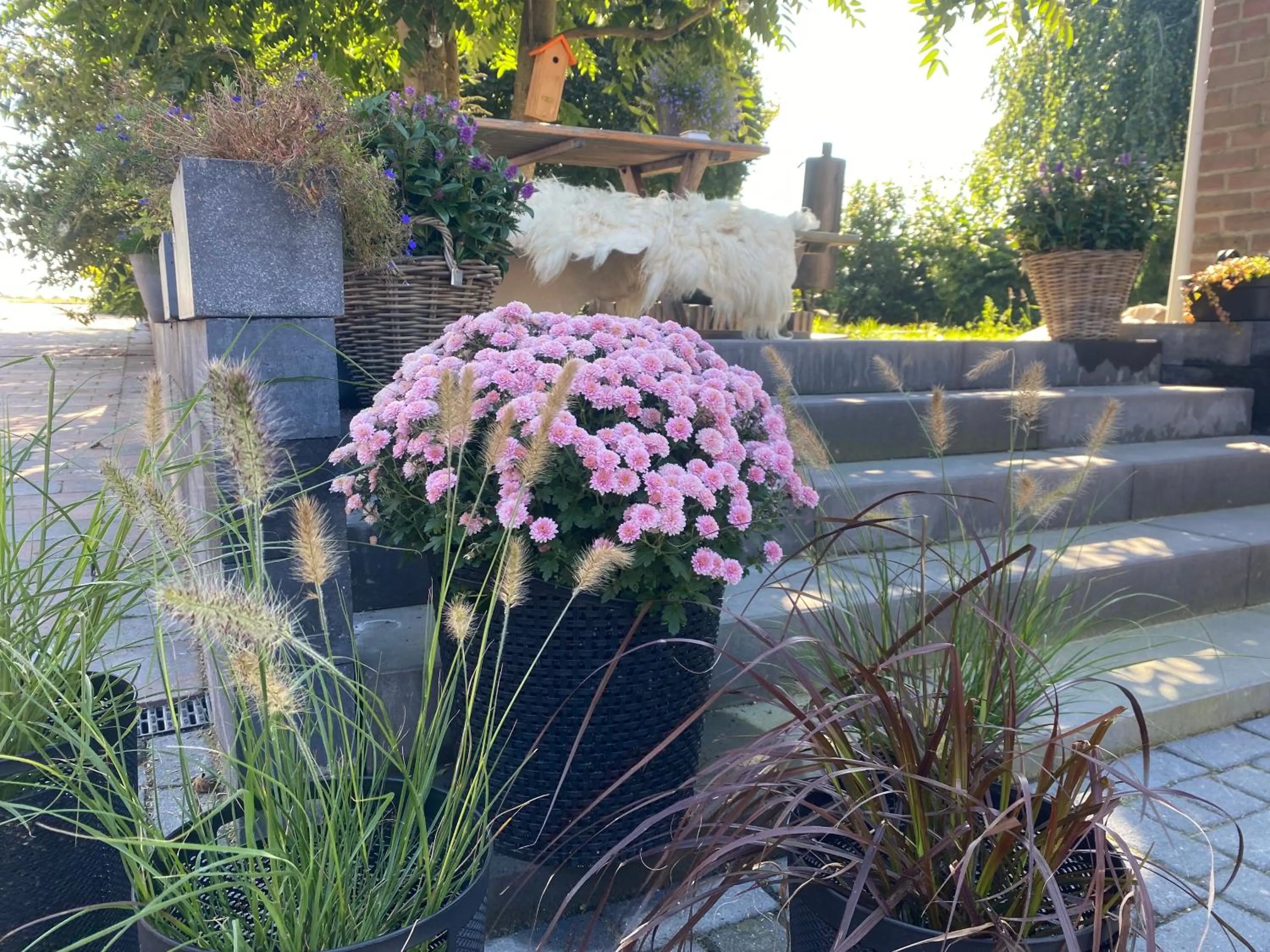 Spring in Vida Verde