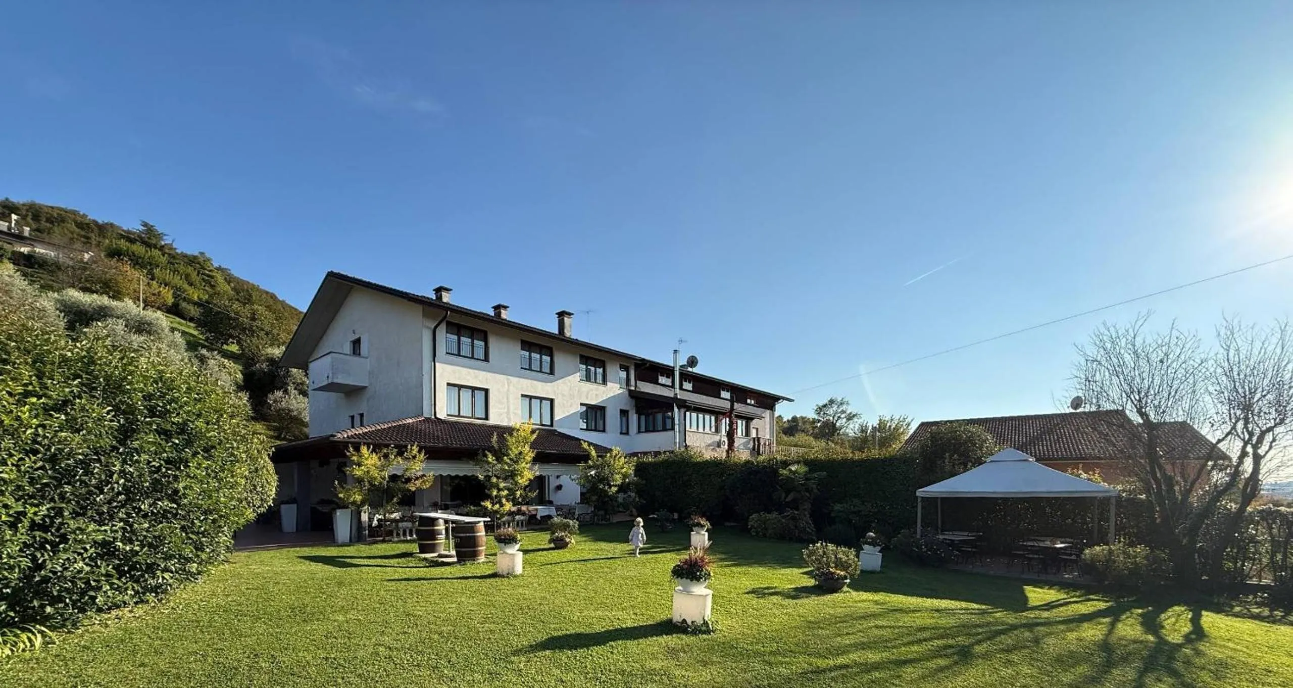 Garden in Hotel New Genziana