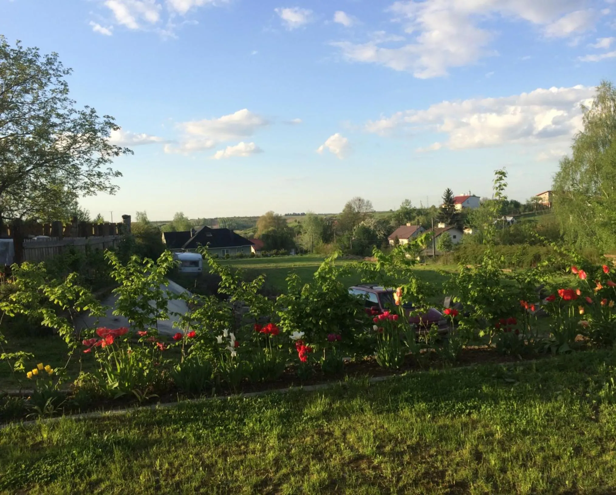 Garden in Dobry Czas