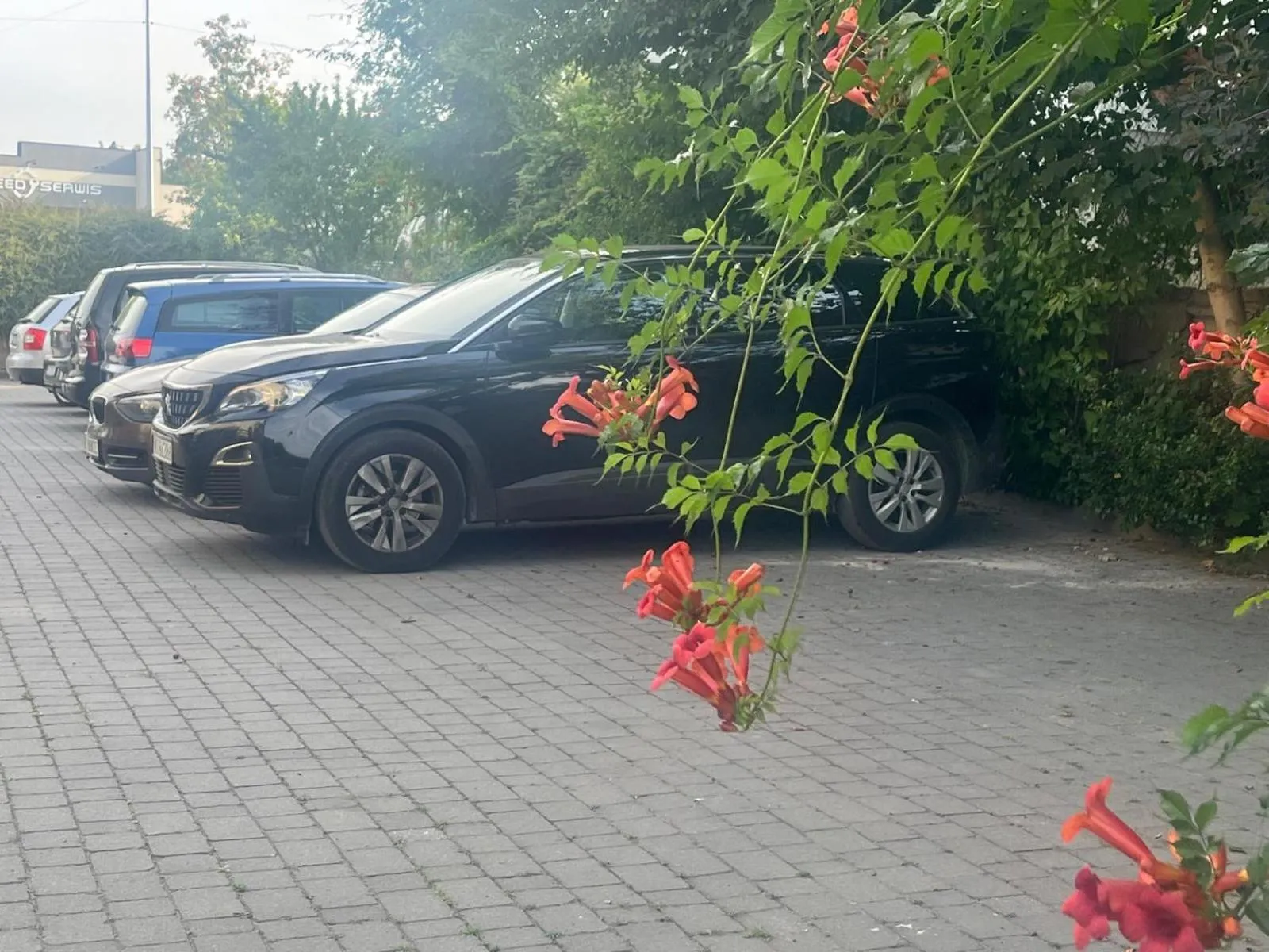 Parking in Dobry Czas