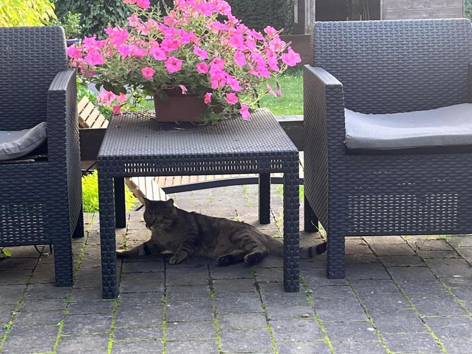 Spring in Dobry Czas