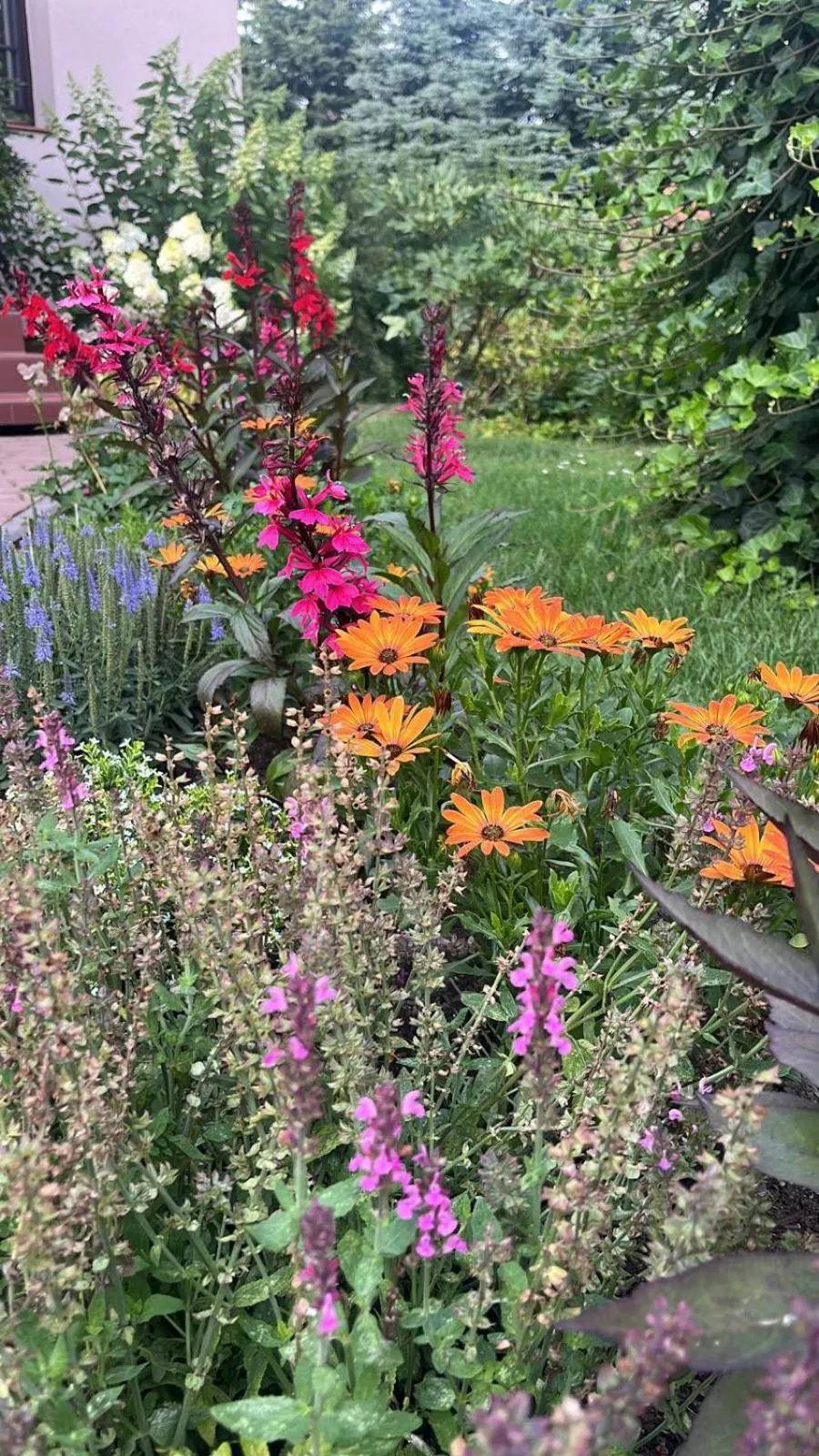 Garden in Dobry Czas
