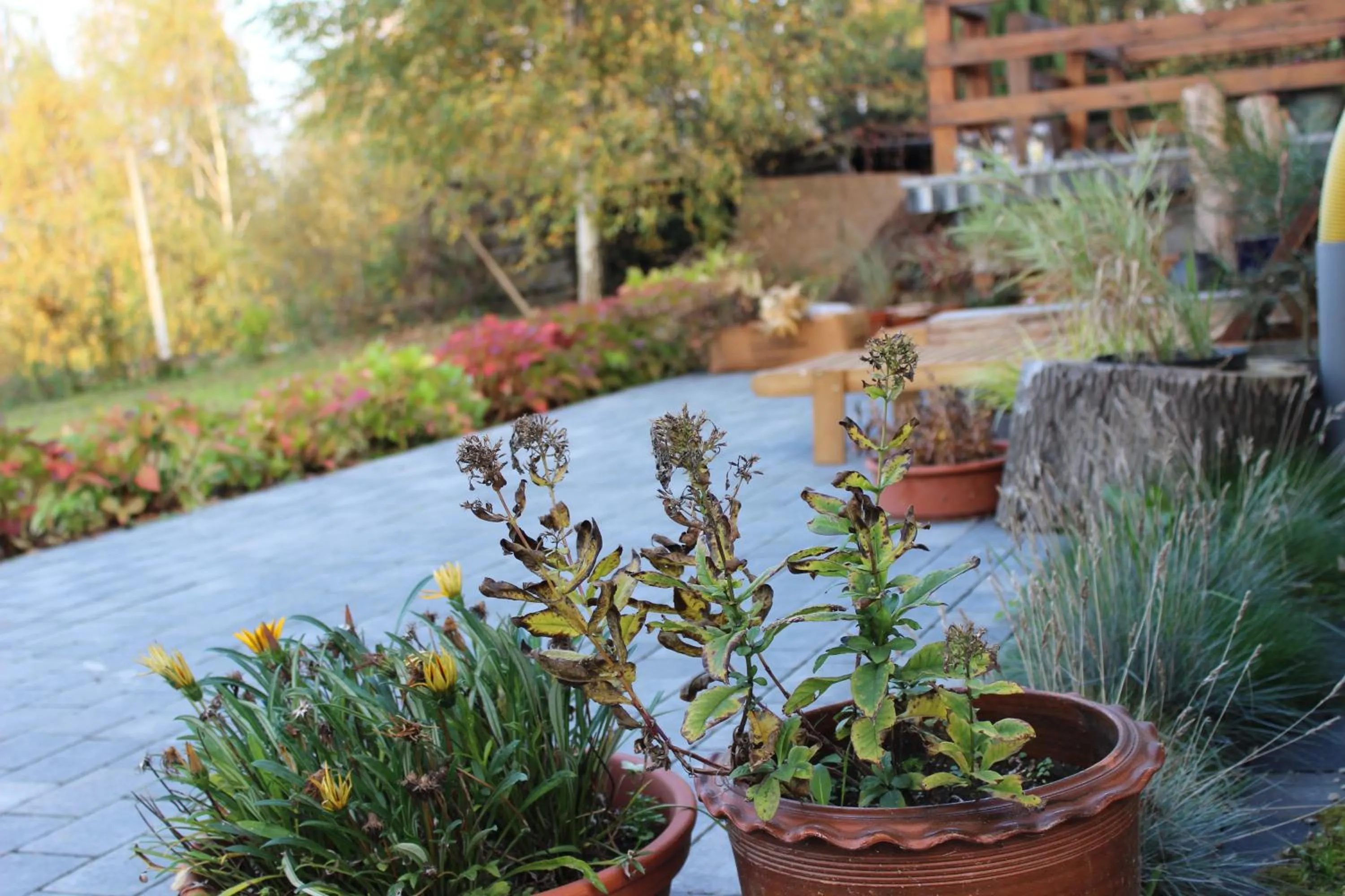 Garden view in Dobry Czas