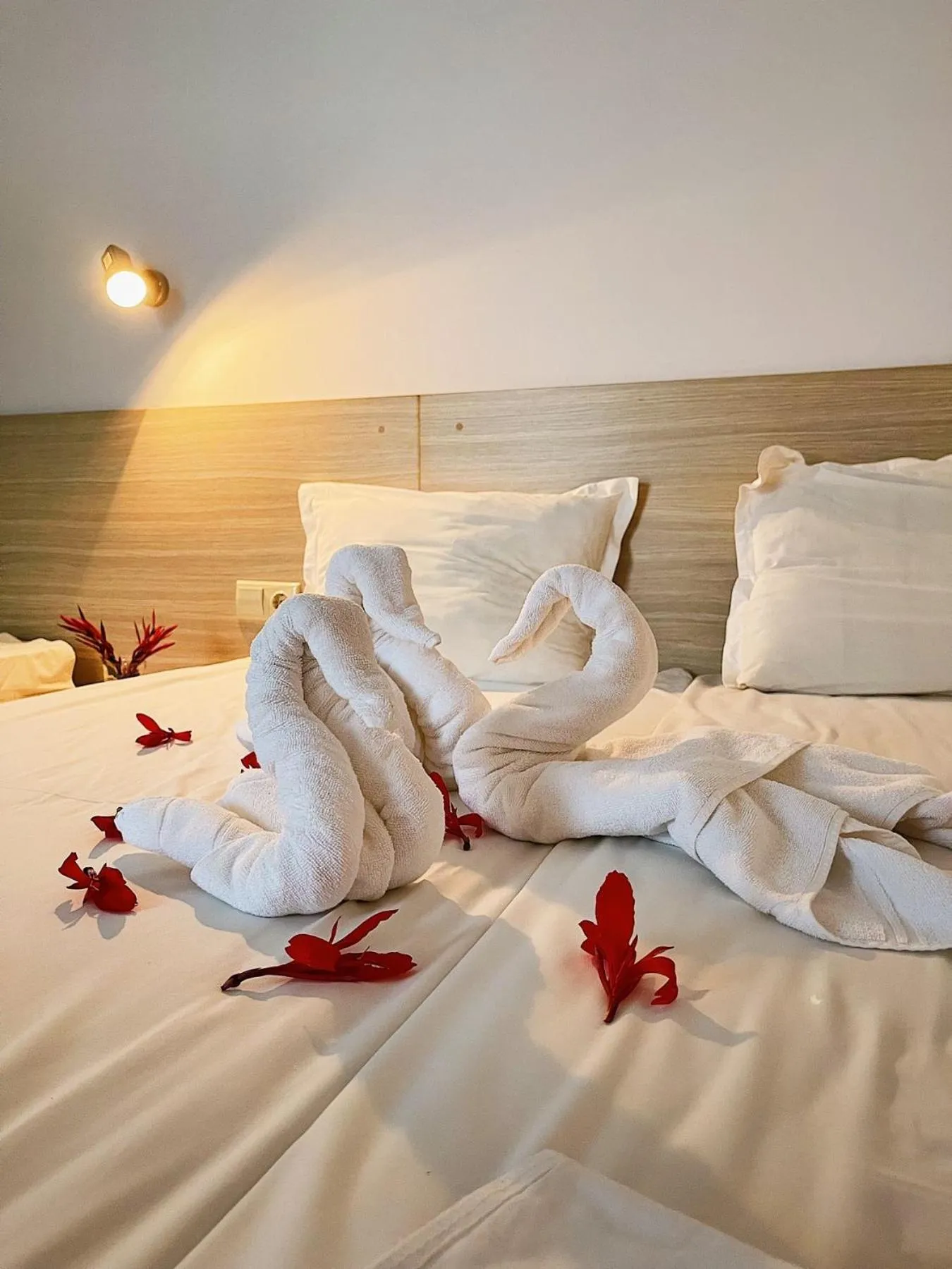 Bed in Hotel Largo Beach