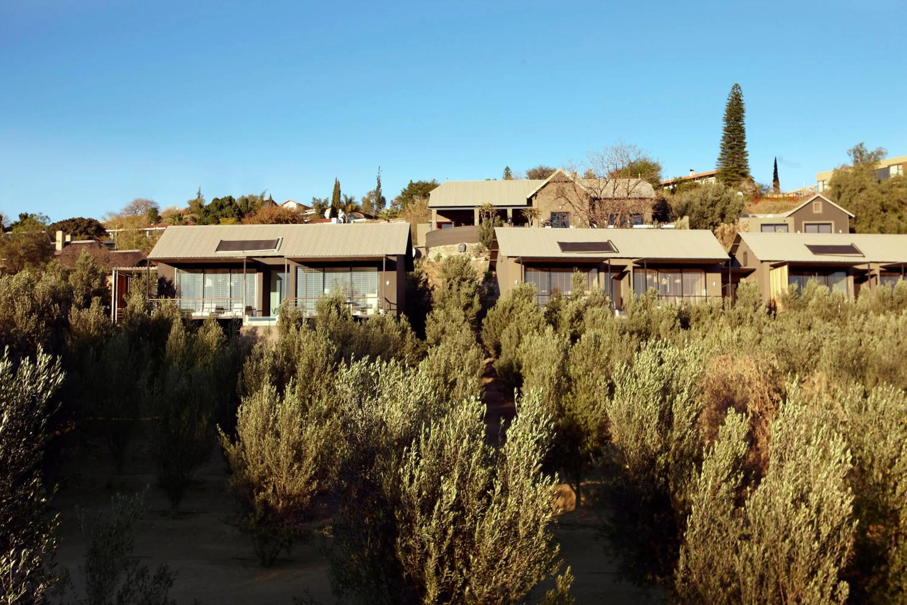 Facade/entrance in The Olive Exclusive All-Suite Hotel