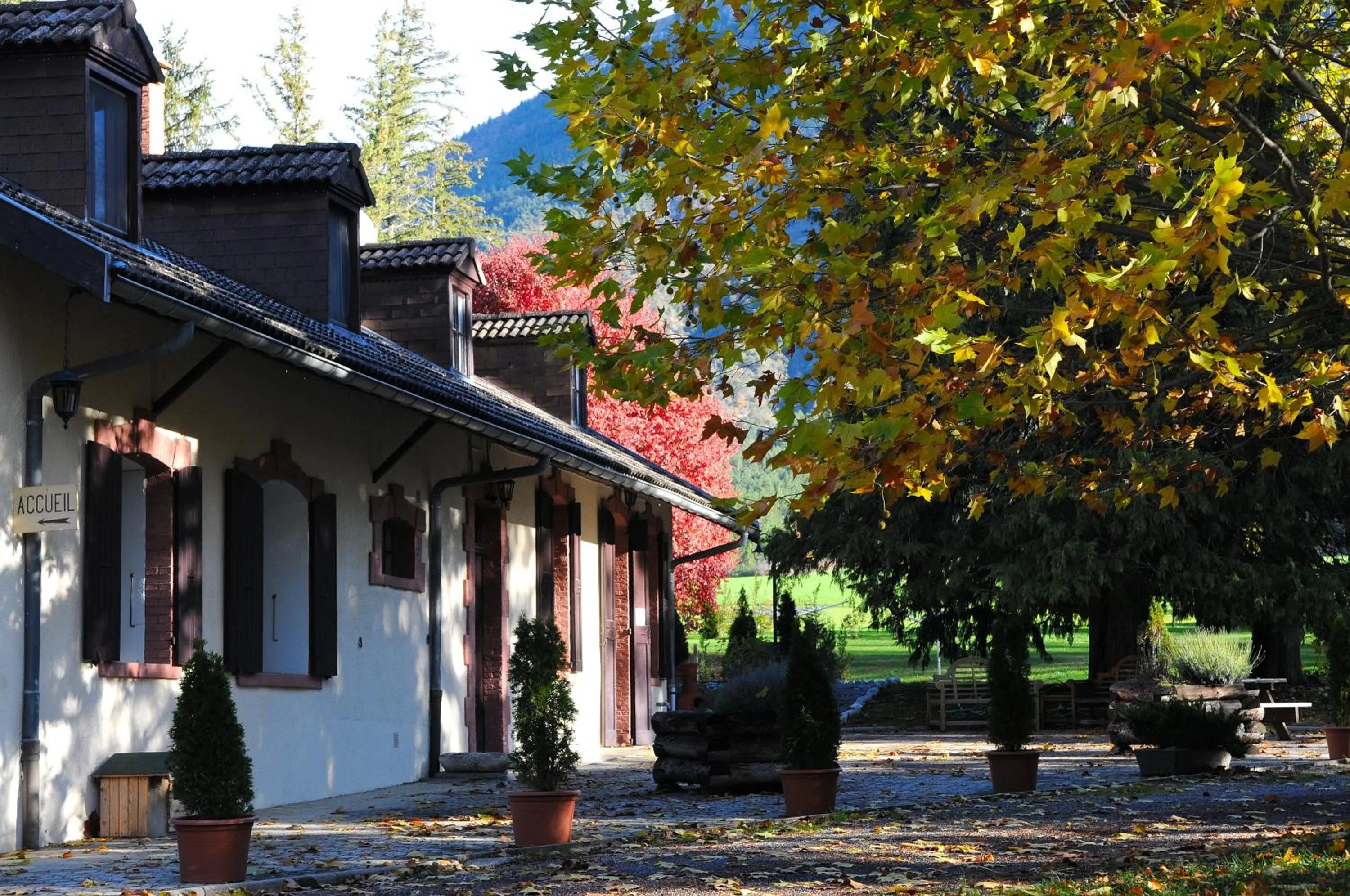 Restaurant/places to eat in La Source