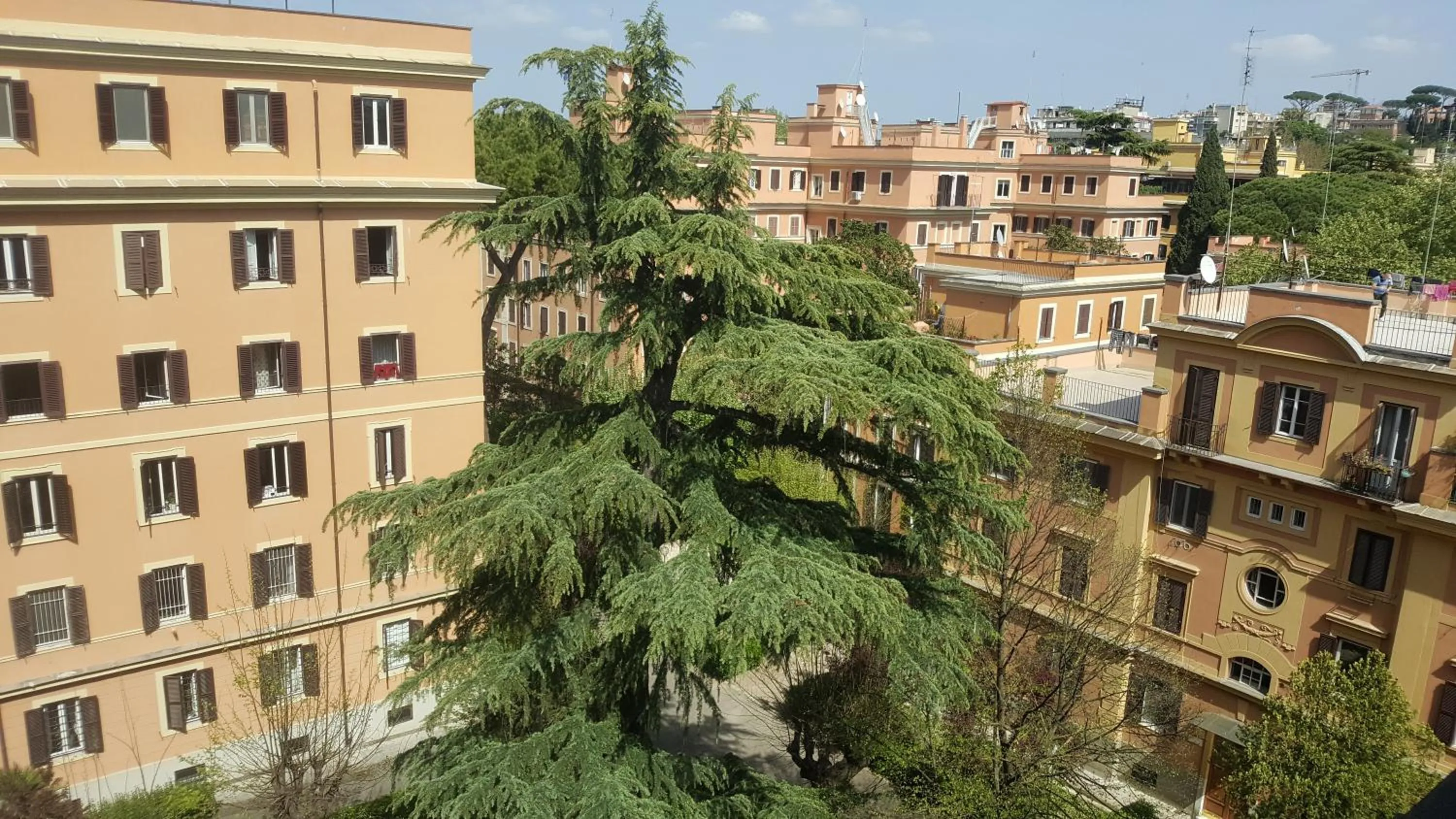 Garden view in Bed & Breakfast A Casa di Lia a Roma