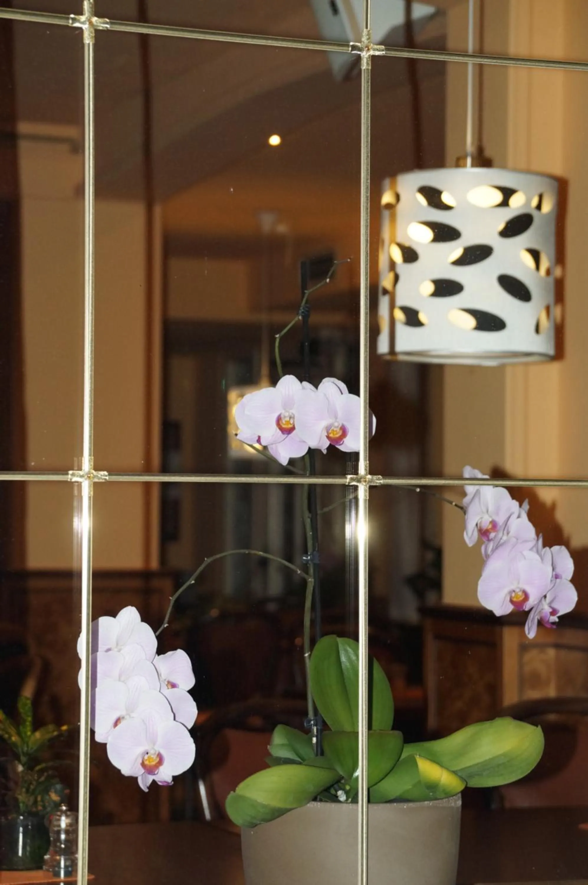 Restaurant/places to eat in Sonneneck