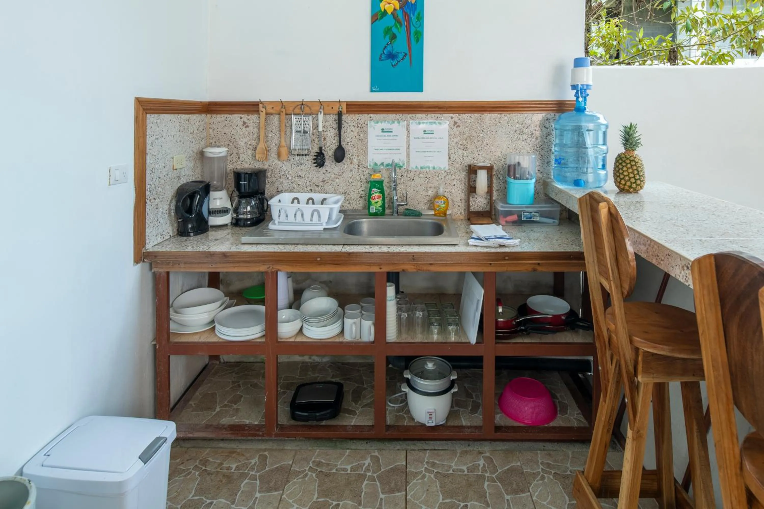 Communal kitchen in Pangea Lodge with Shared Pool at the Heart of Manzanillo