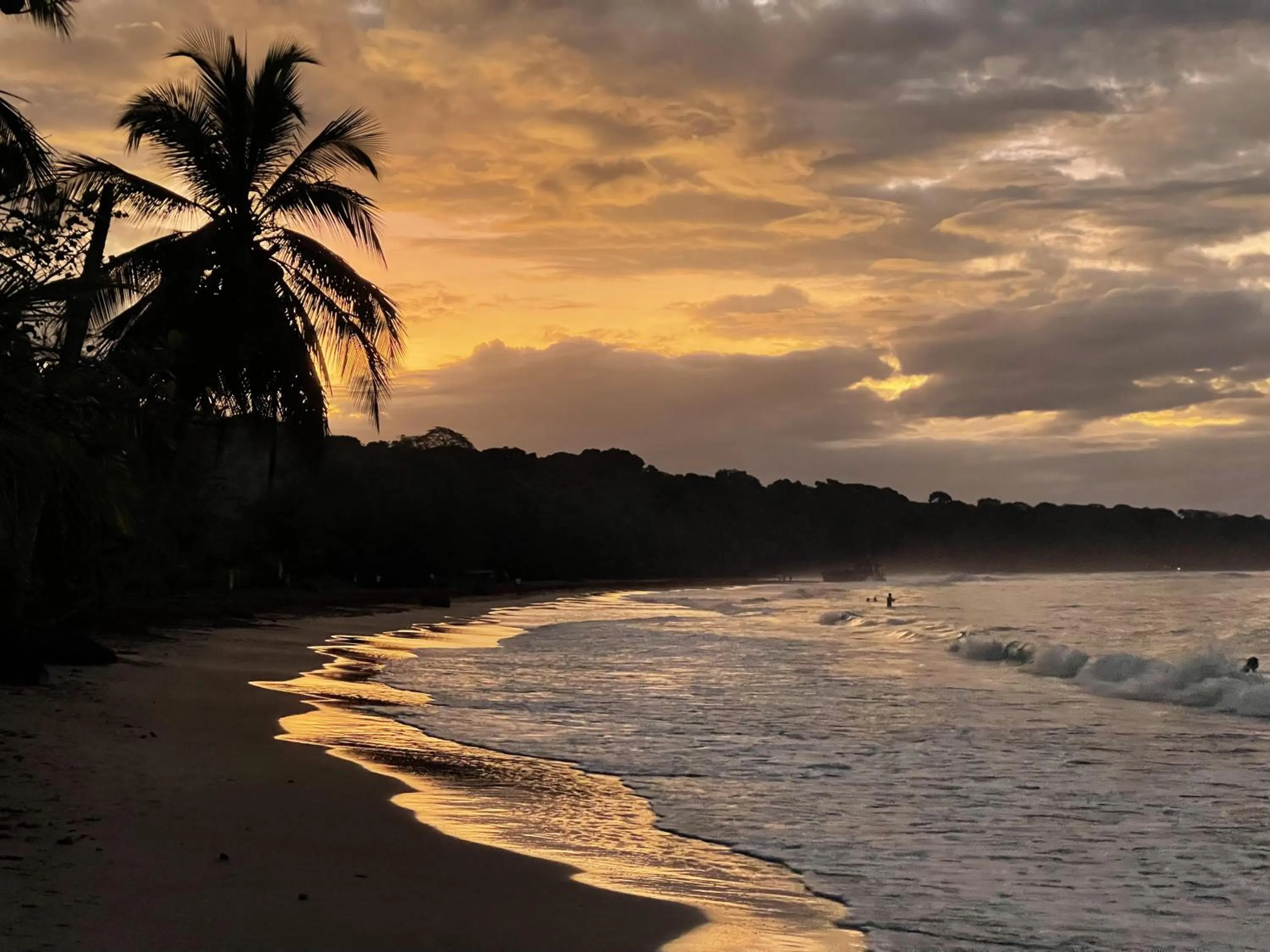 Beach in Pangea Lodge with Shared Pool at the Heart of Manzanillo