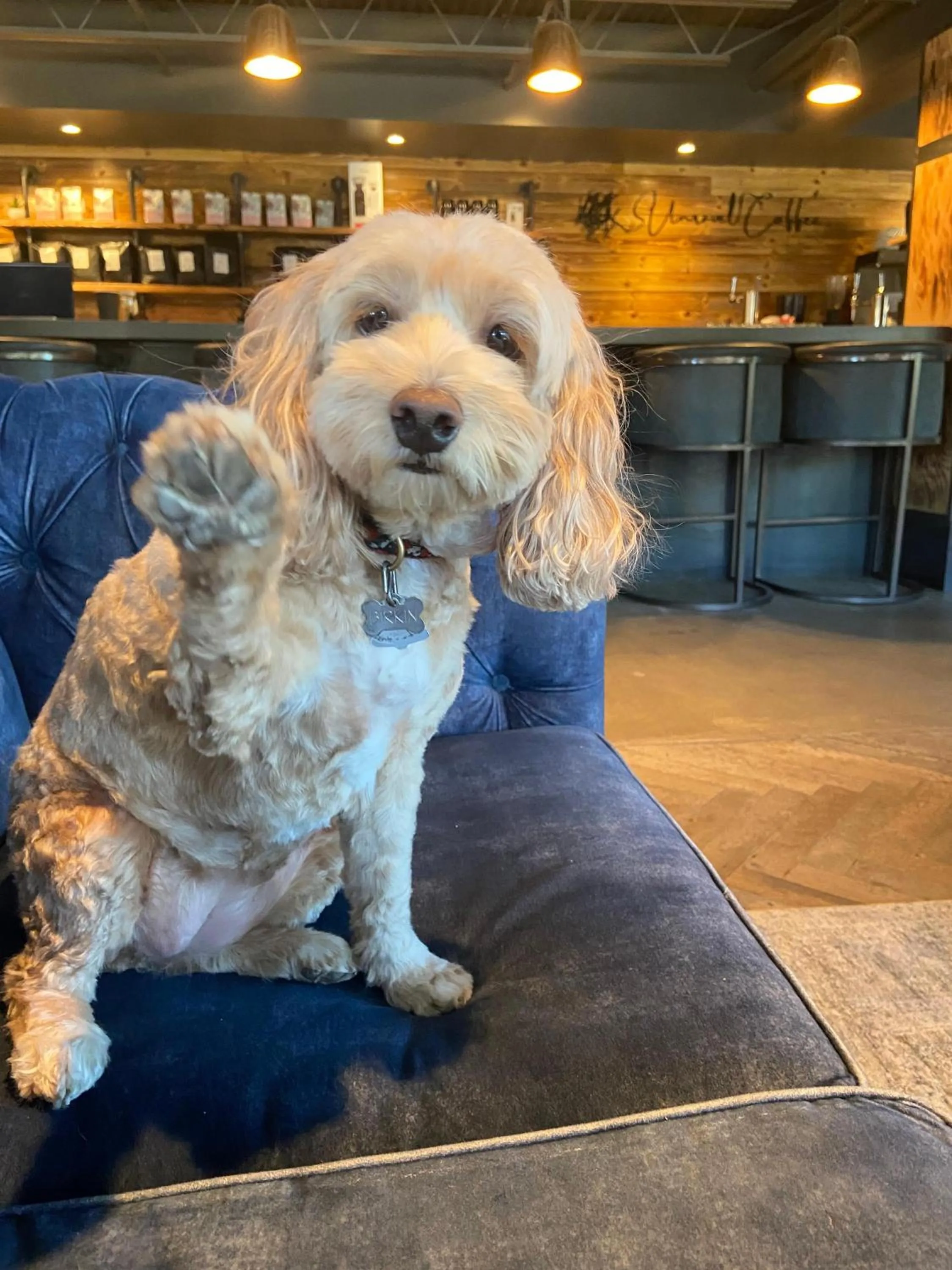 Gravity Haus Winter Park