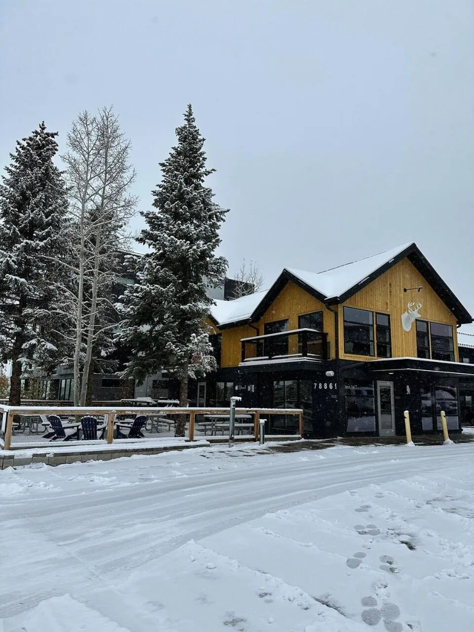 Property building in Gravity Haus Winter Park
