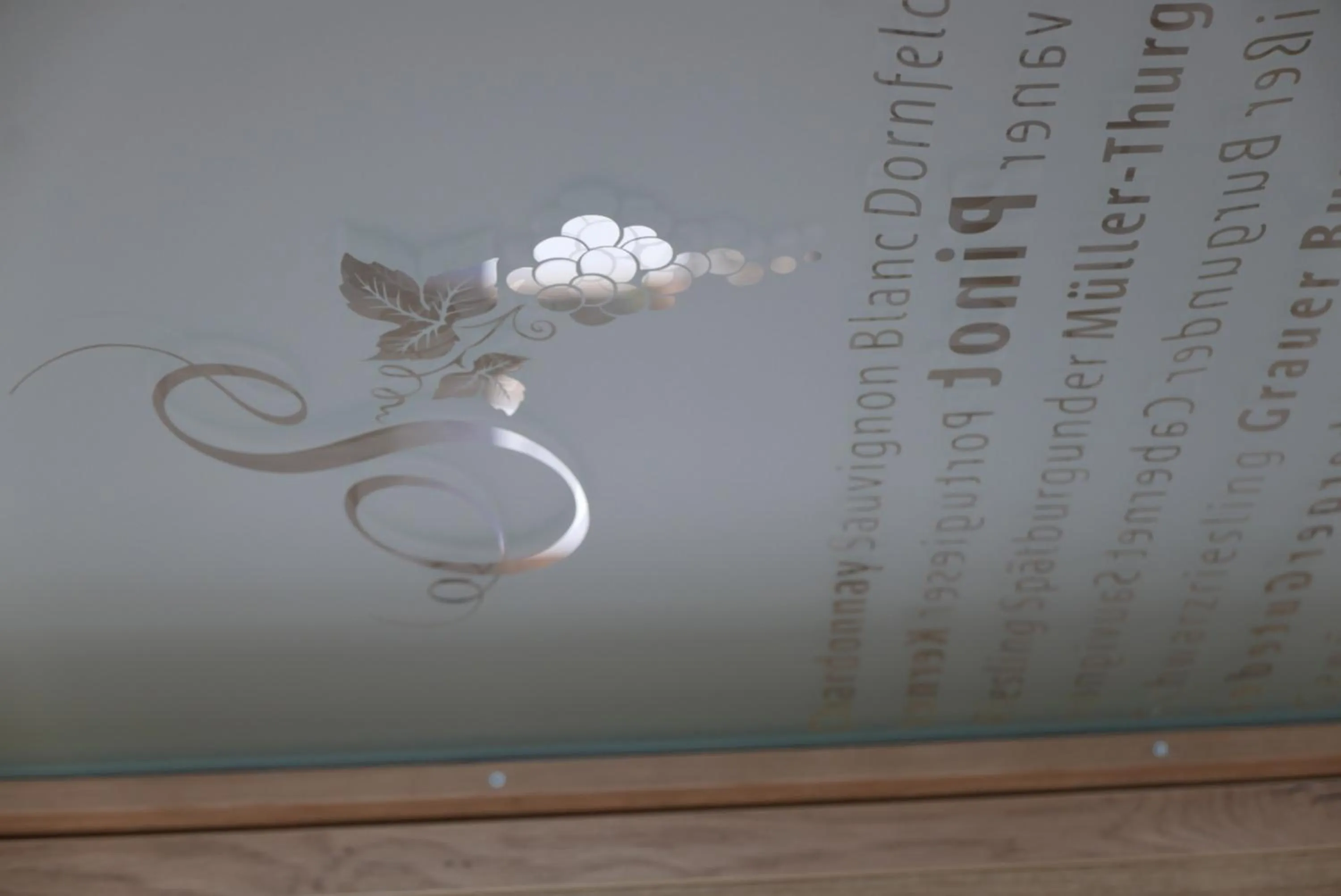 Property logo or sign in Landhotel Salmen