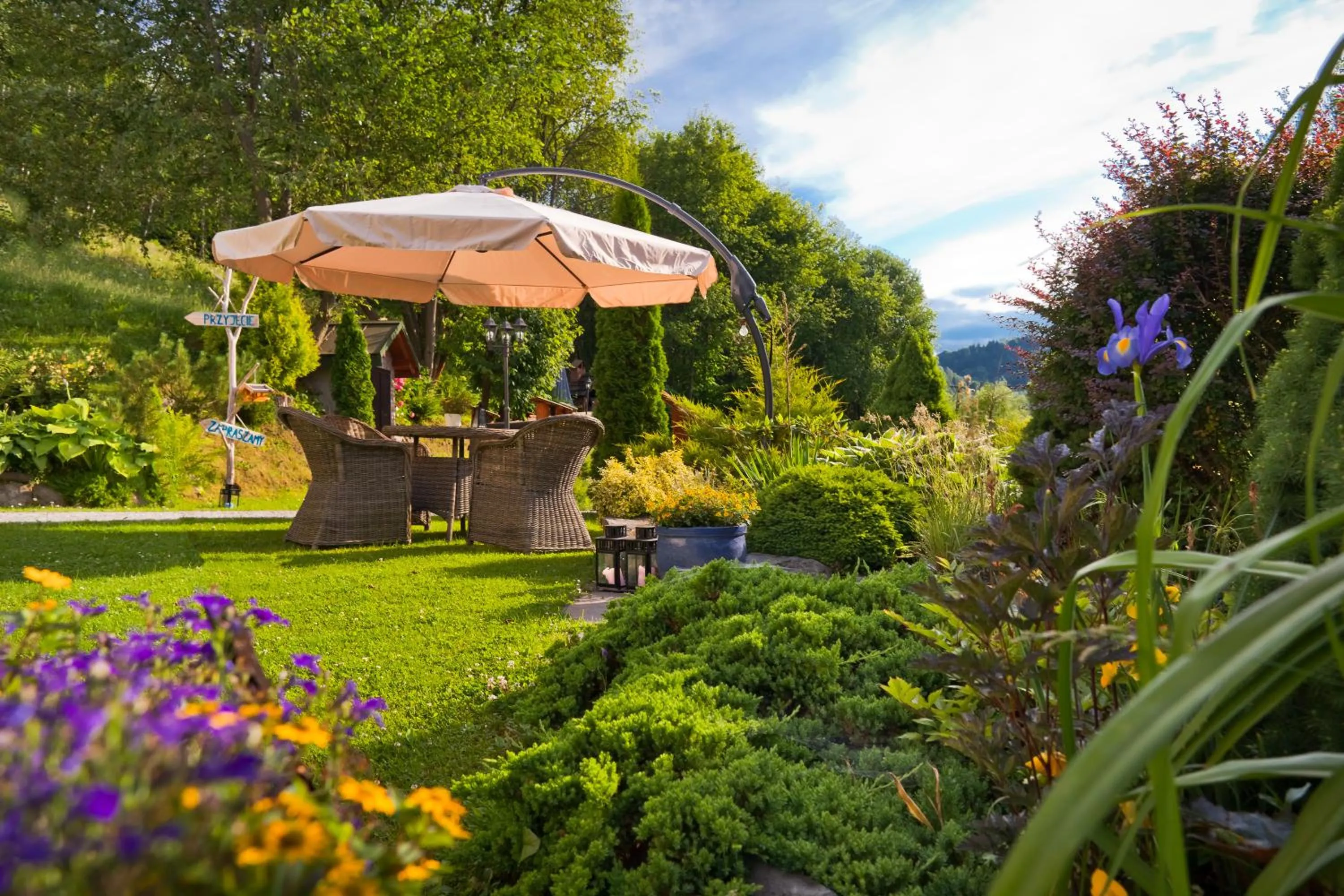 Garden in Willa Trela