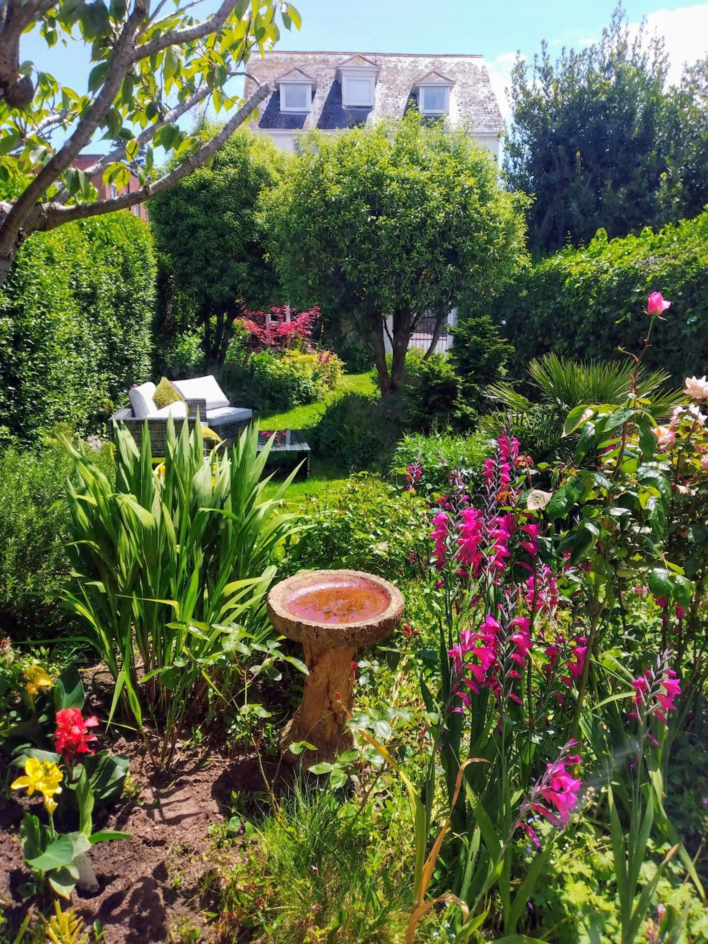 Garden in The Swallows B and B