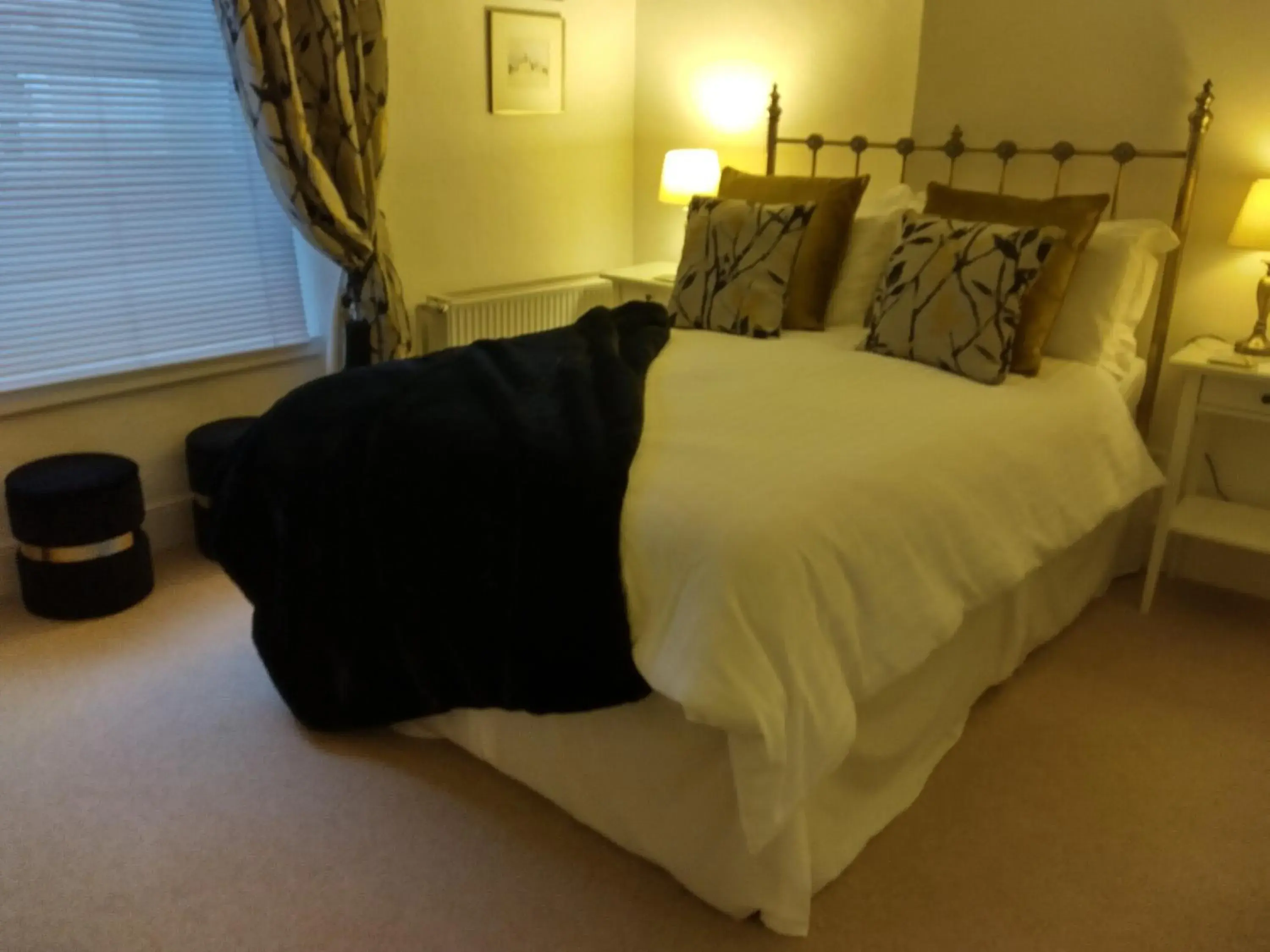 Double Room in The Swallows B and B Double Room in The Swallows B and B