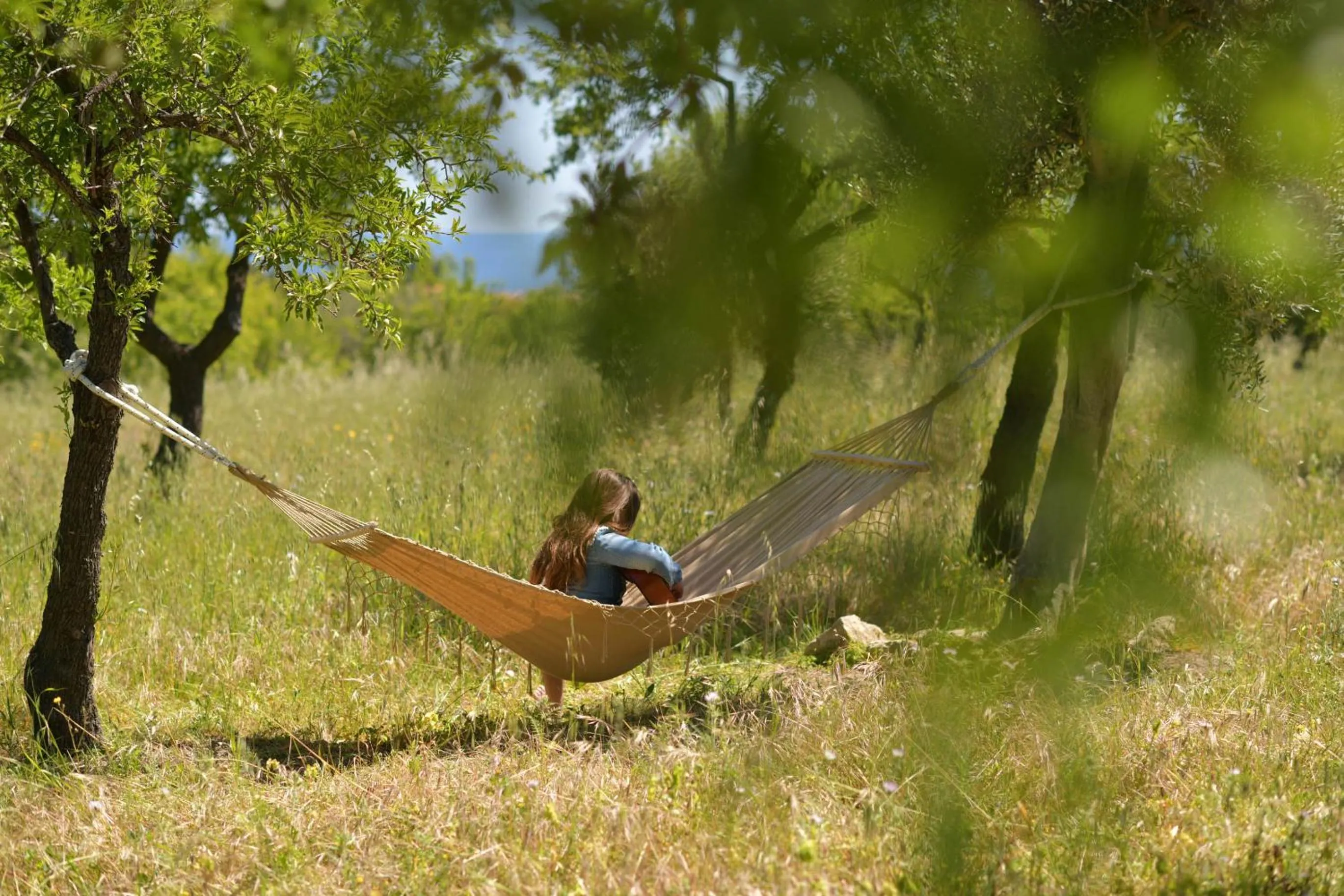 Garden in LUCCICAMARE family-run BeB