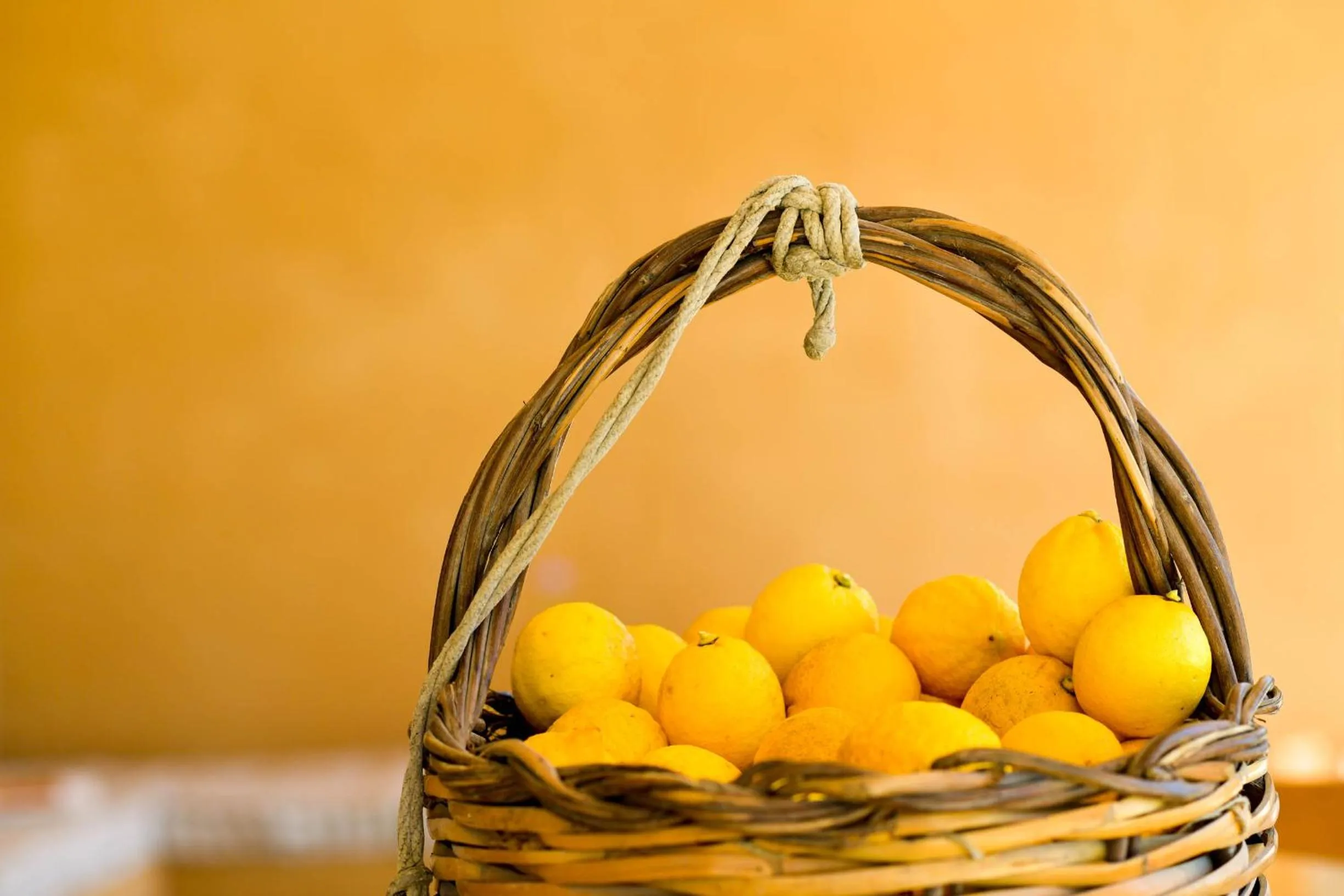 Food in LUCCICAMARE family-run BeB