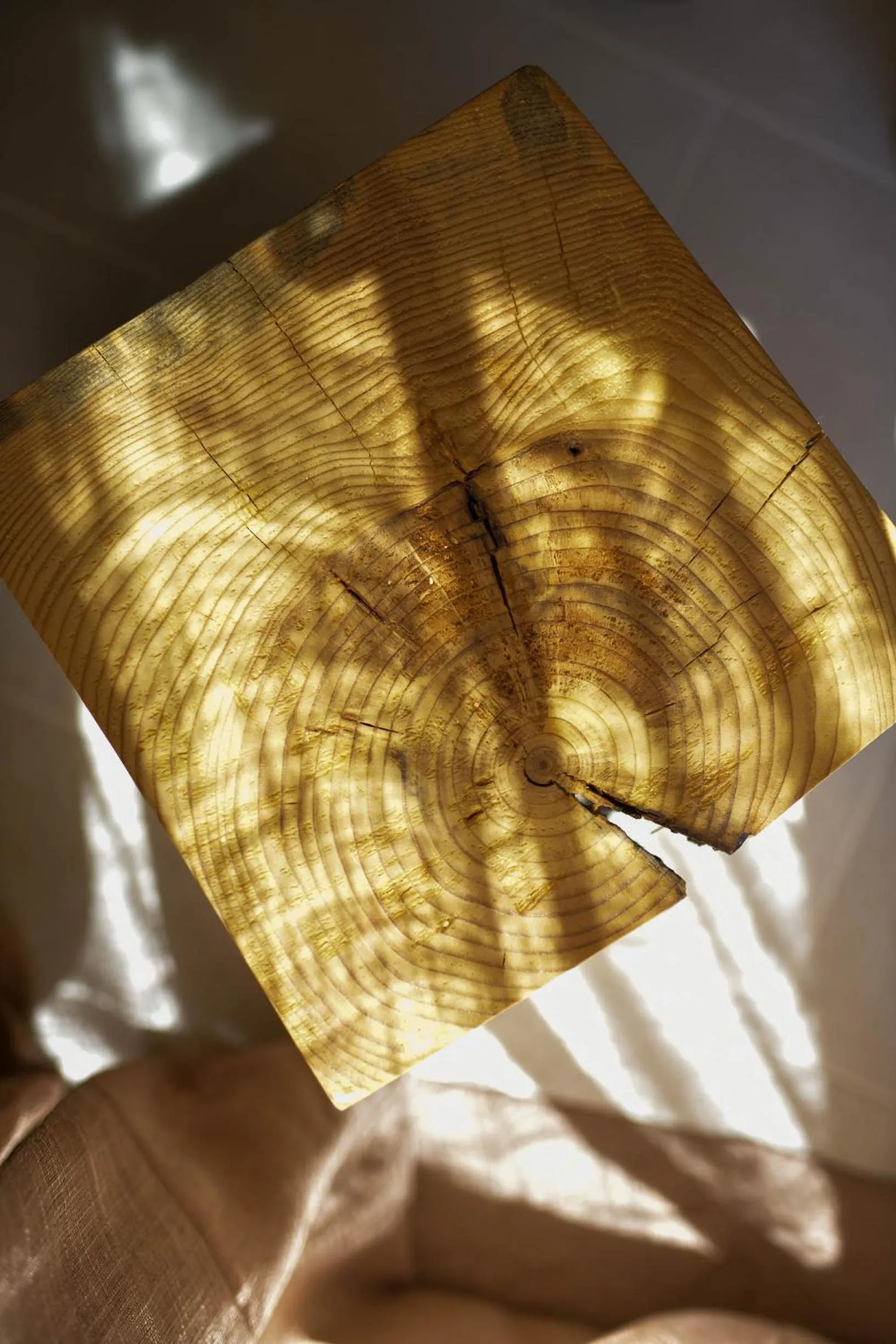 Decorative detail in LUCCICAMARE family-run BeB