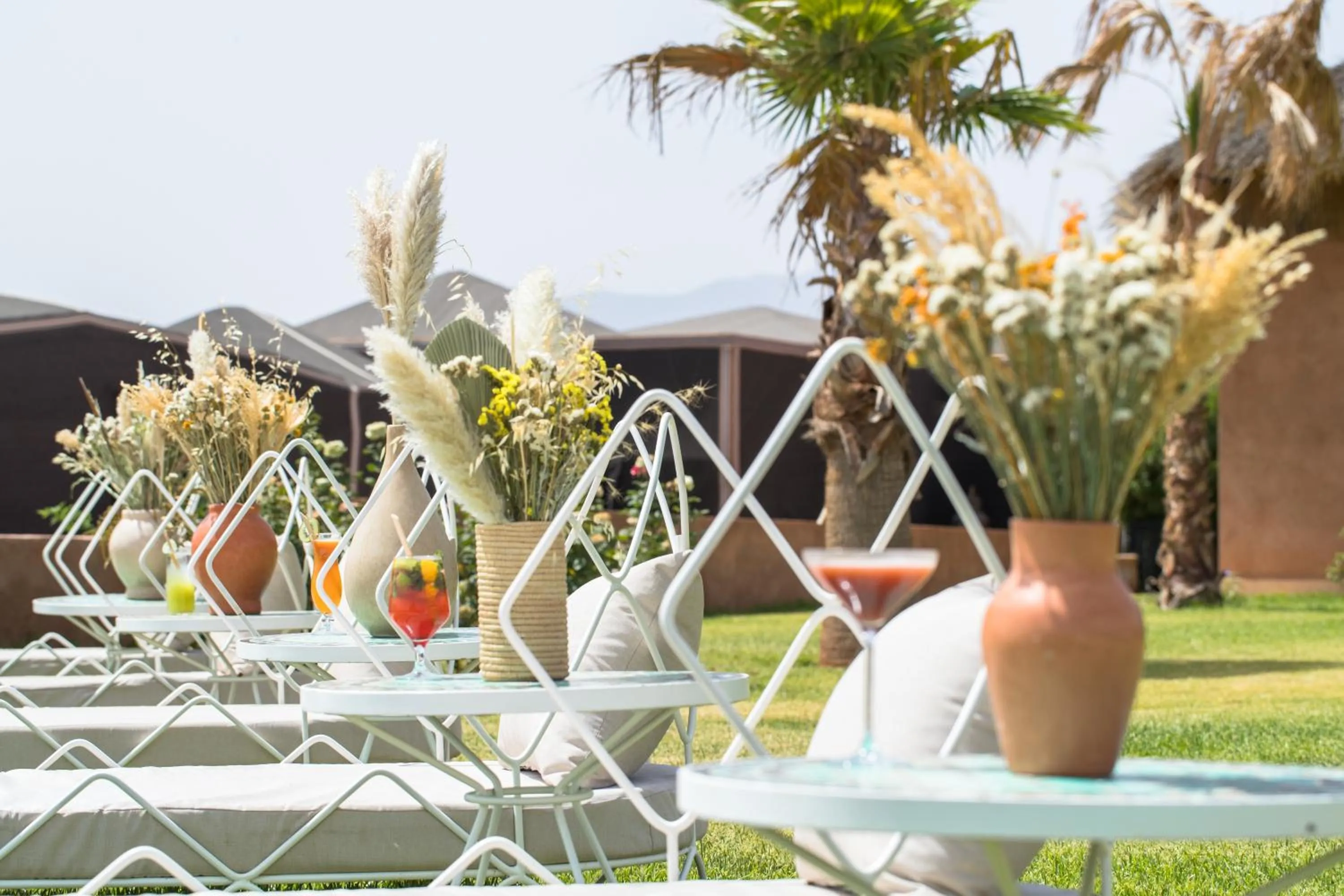 Kalyptus Luxury Camp