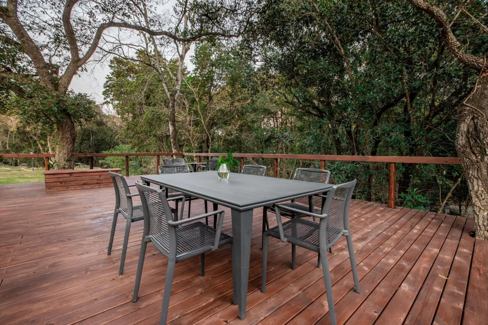 Bushbaby Valley Lodge