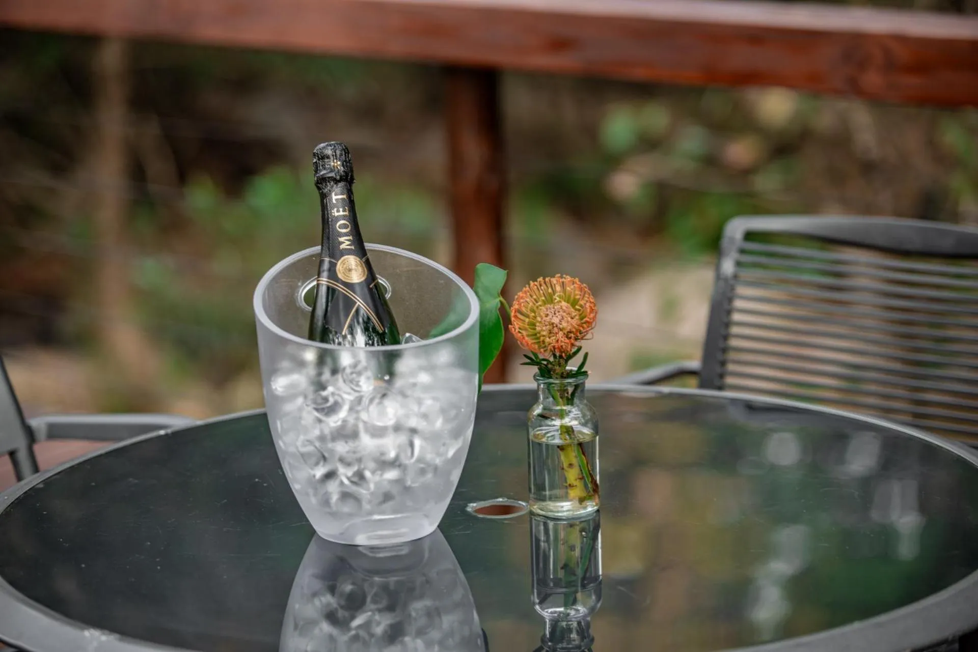 Restaurant/places to eat in Bushbaby Valley Lodge