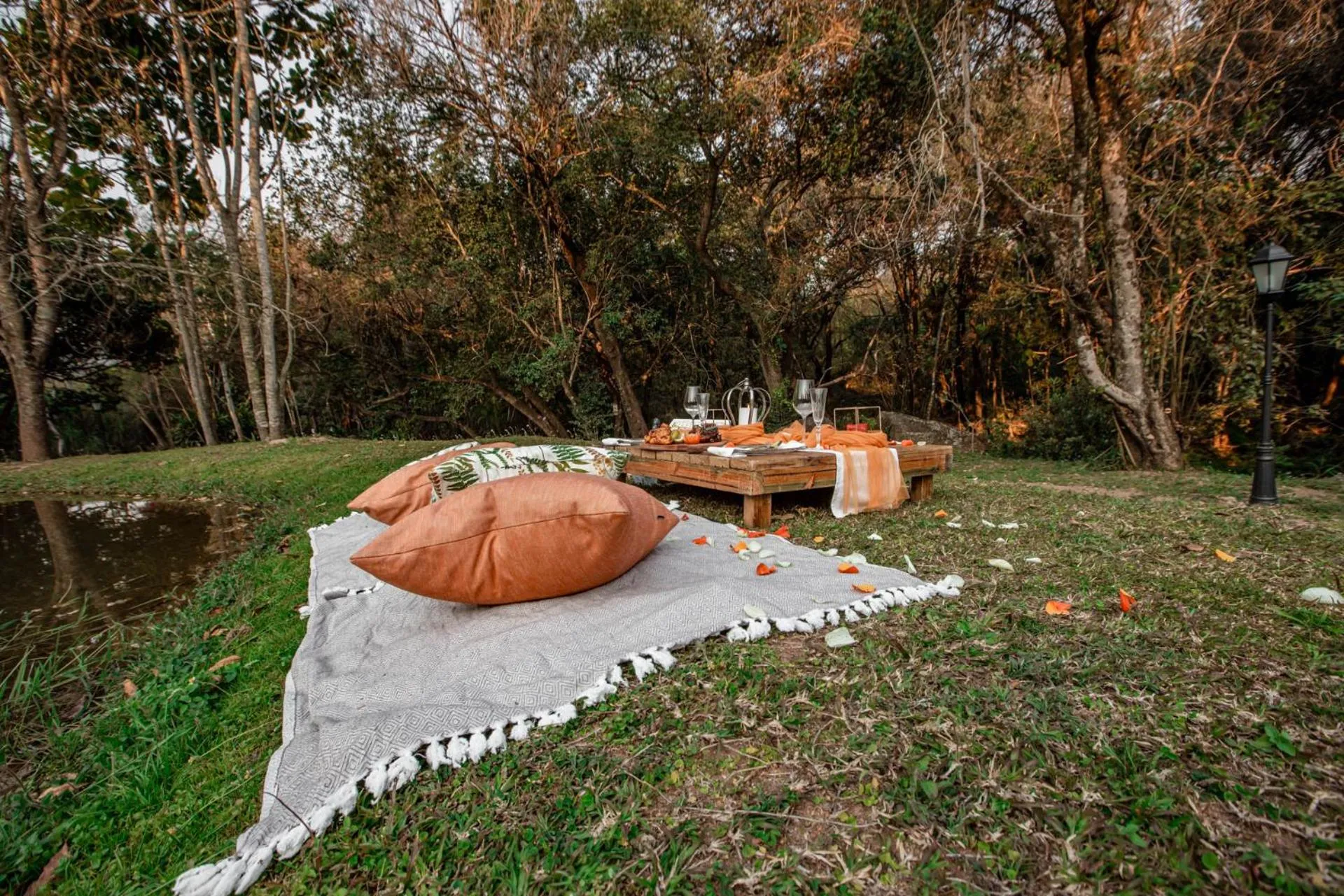 Garden in Bushbaby Valley Lodge