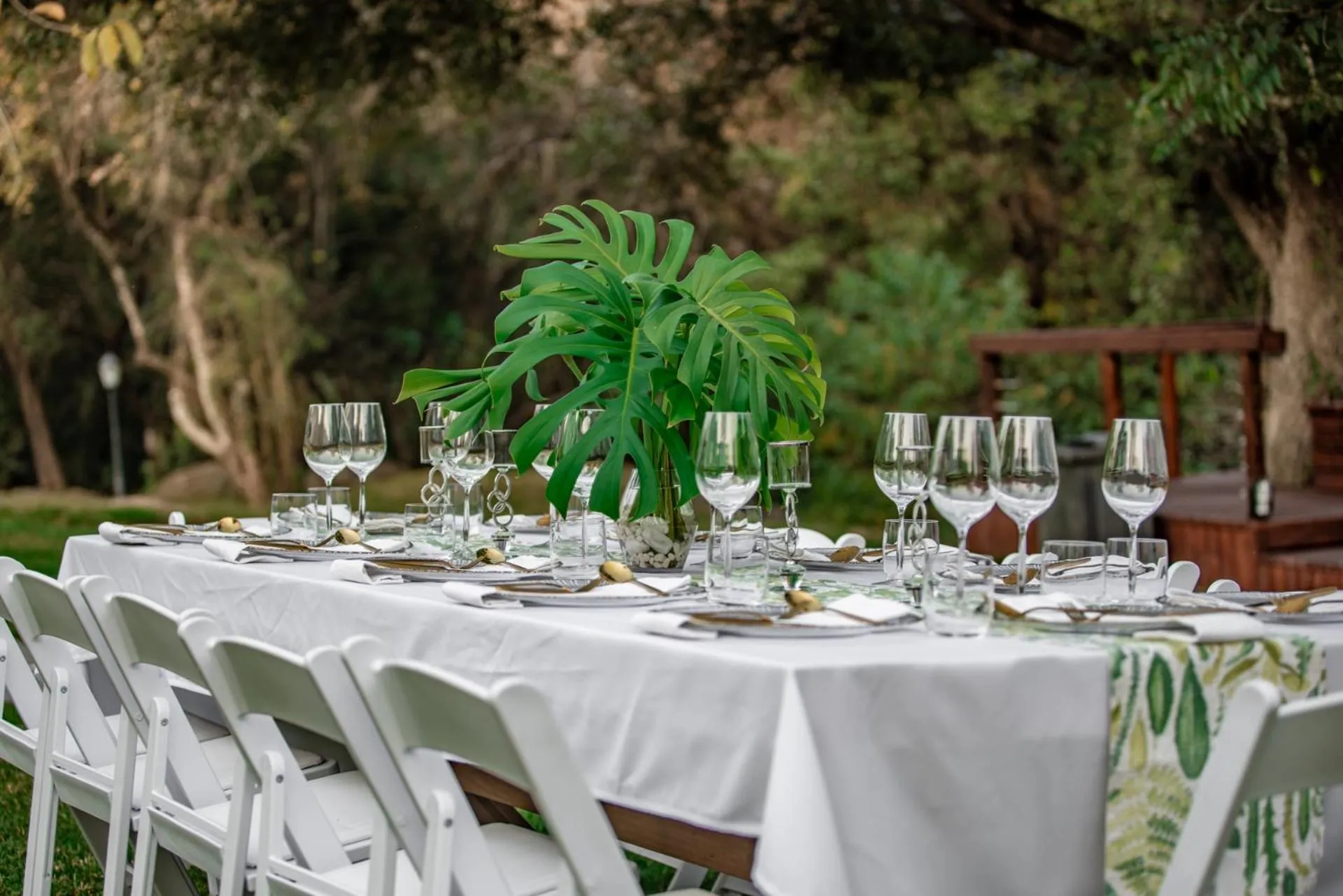 Bushbaby Valley Lodge