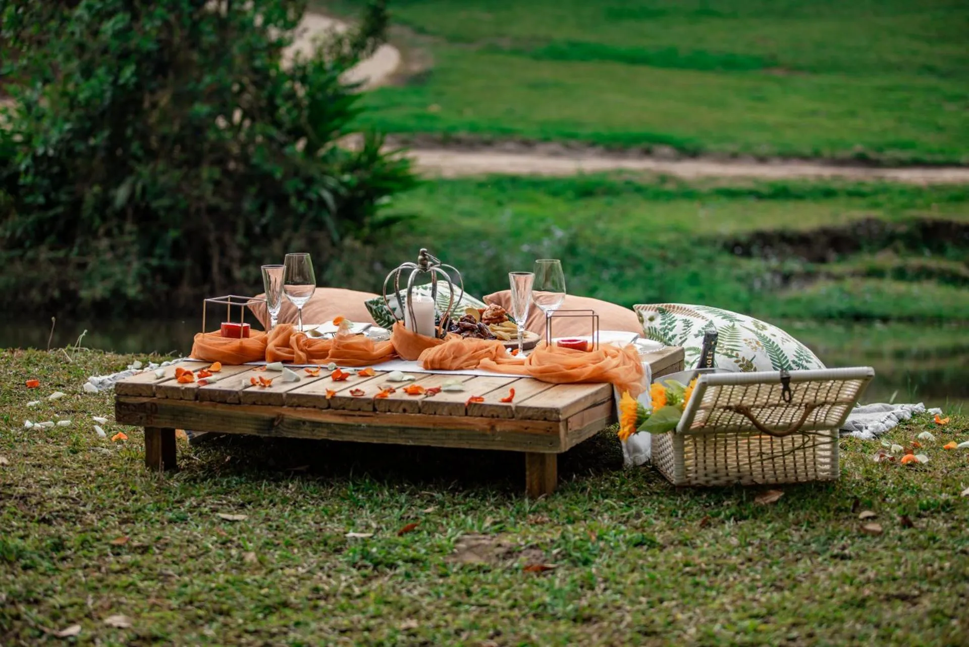 Garden in Bushbaby Valley Lodge