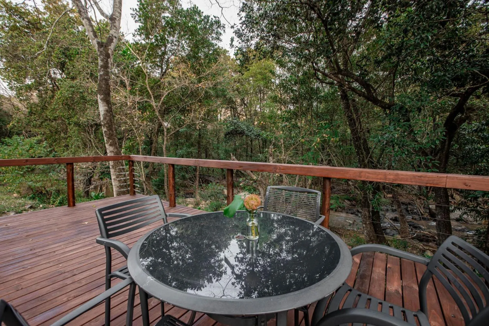 Bushbaby Valley Lodge