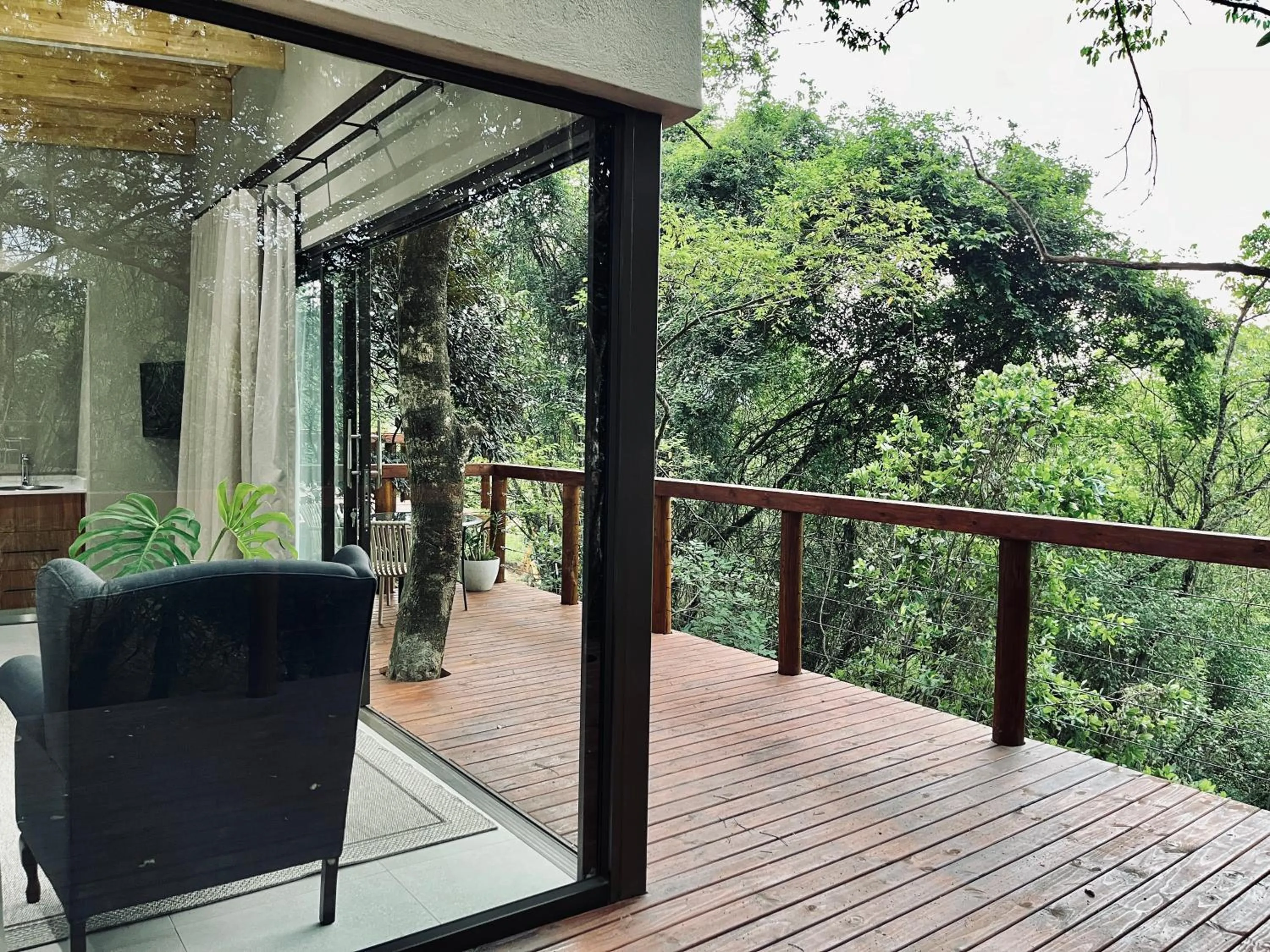 Bushbaby Valley Lodge