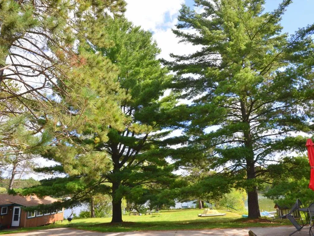 Riverside Point Resort