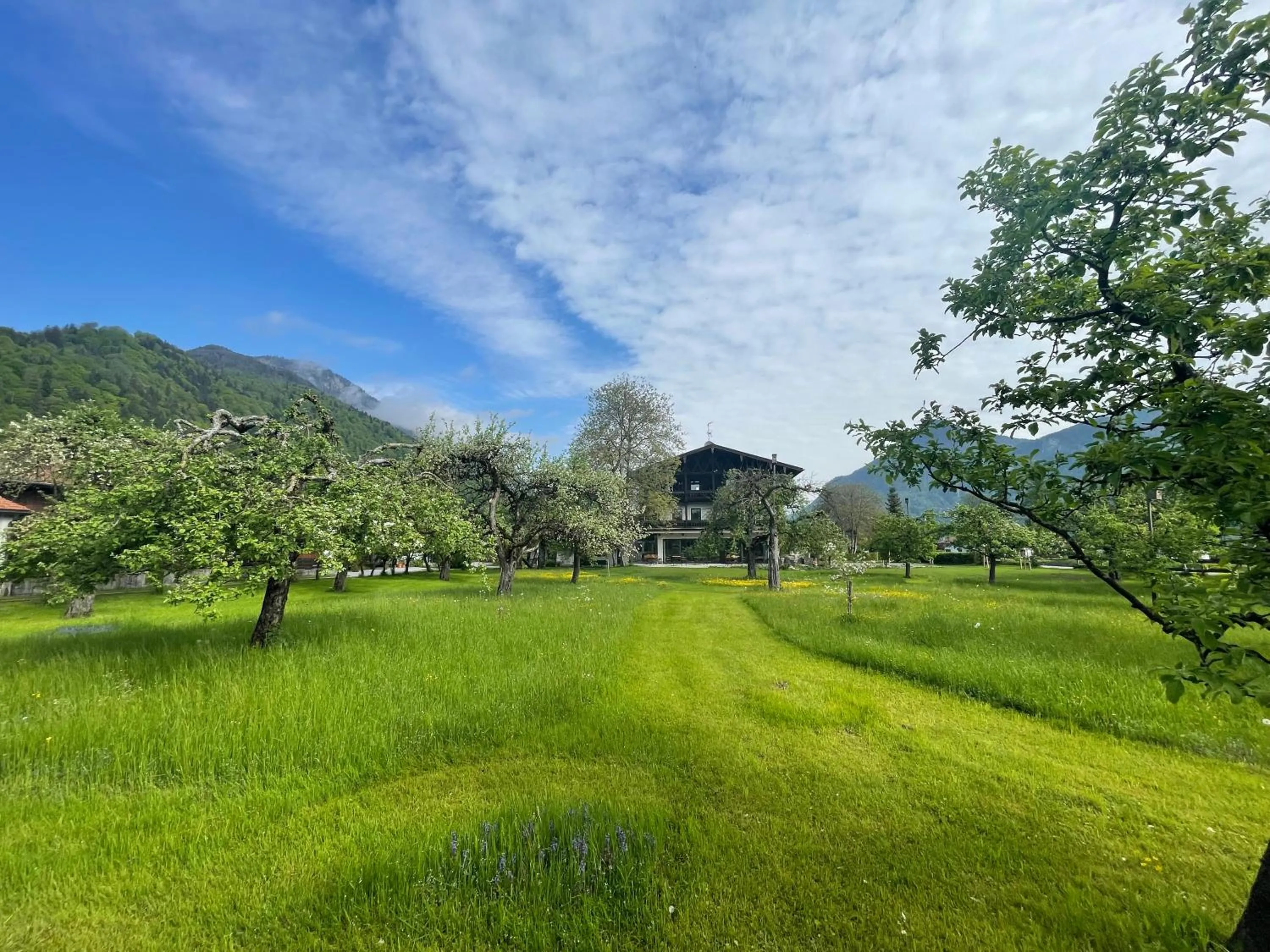 Garden in Alpenhof Landhotel Restaurant