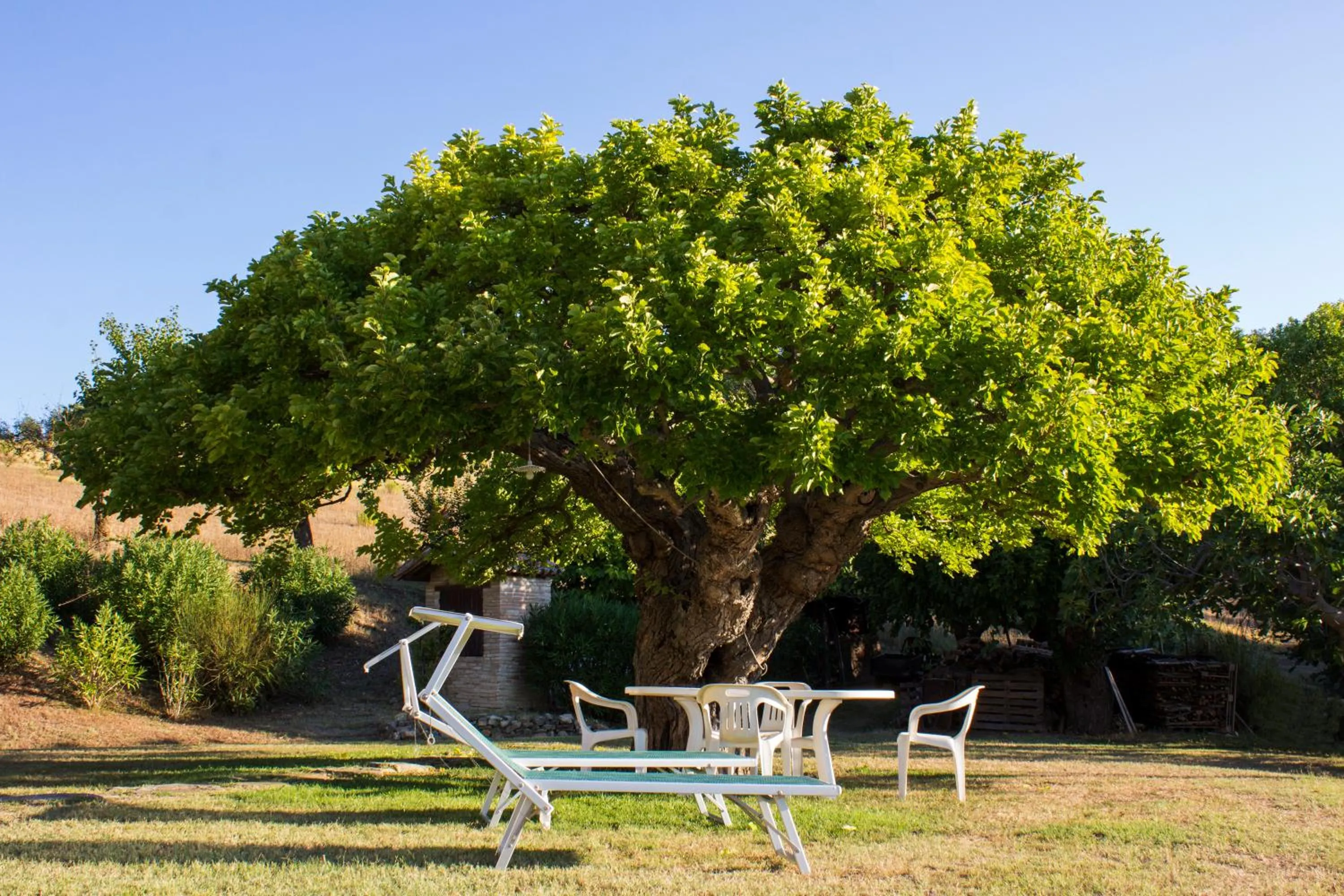 Garden in B&B Salvarosa
