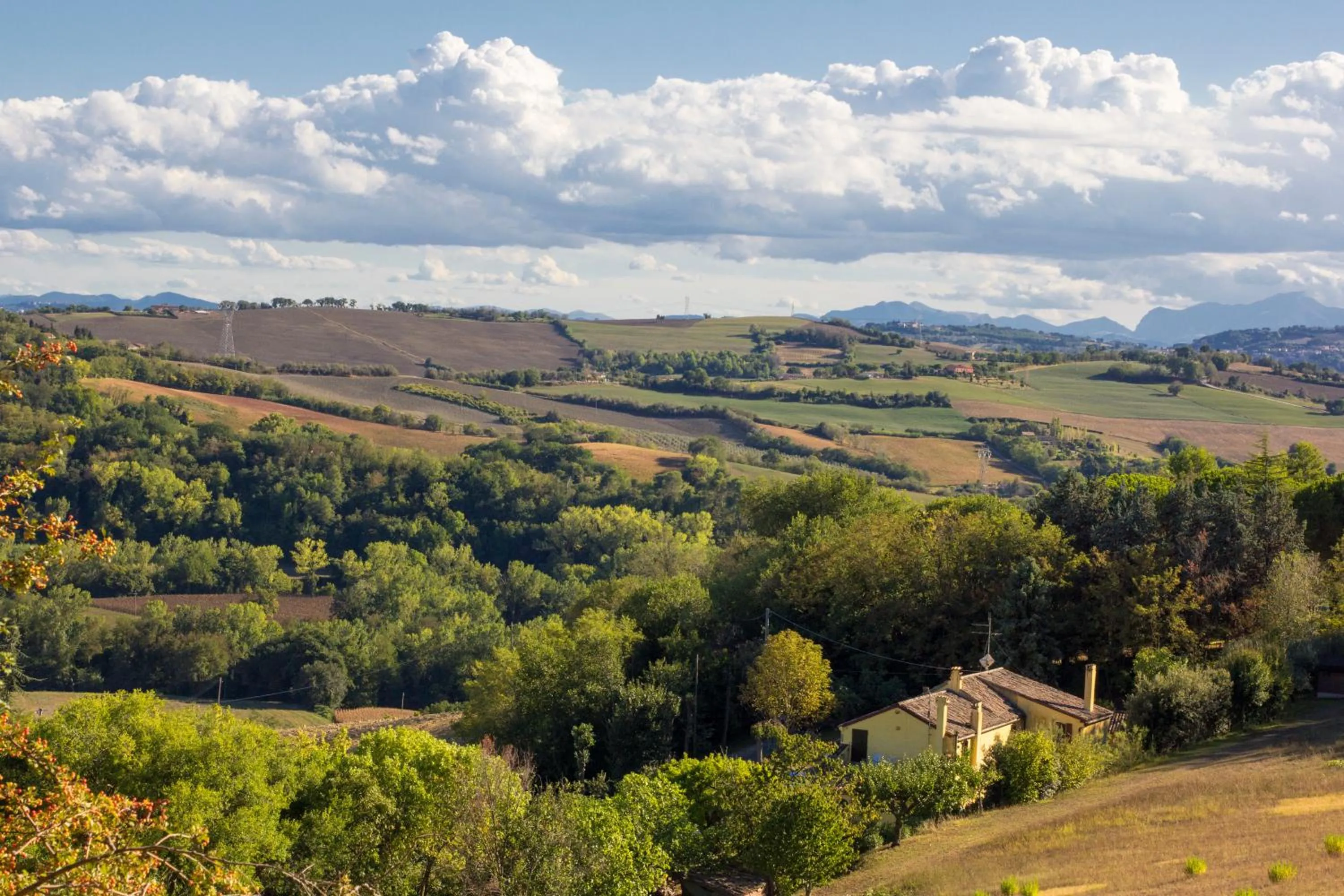 Bird's eye view in B&B Salvarosa