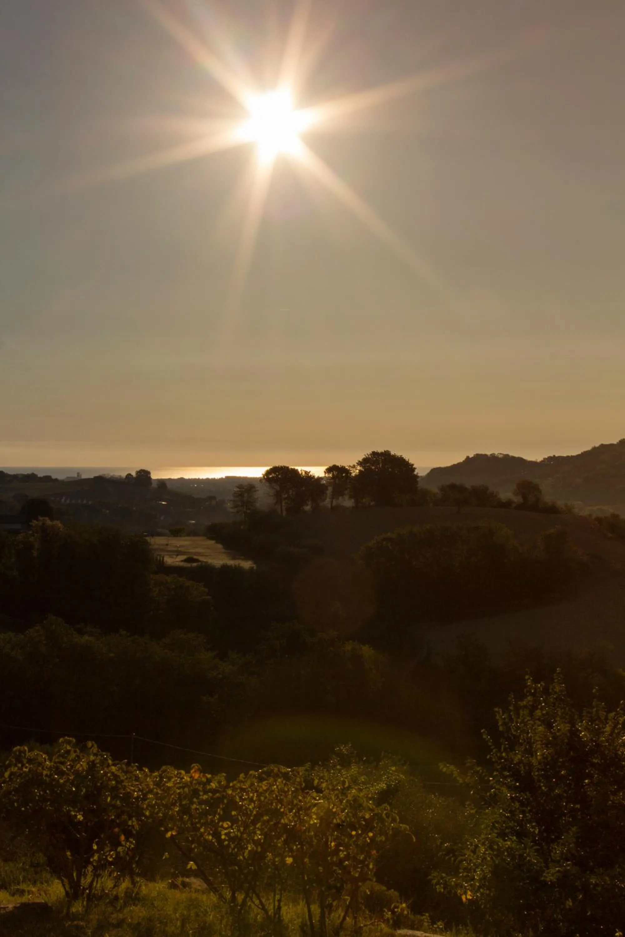 View (from property/room) in B&B Salvarosa