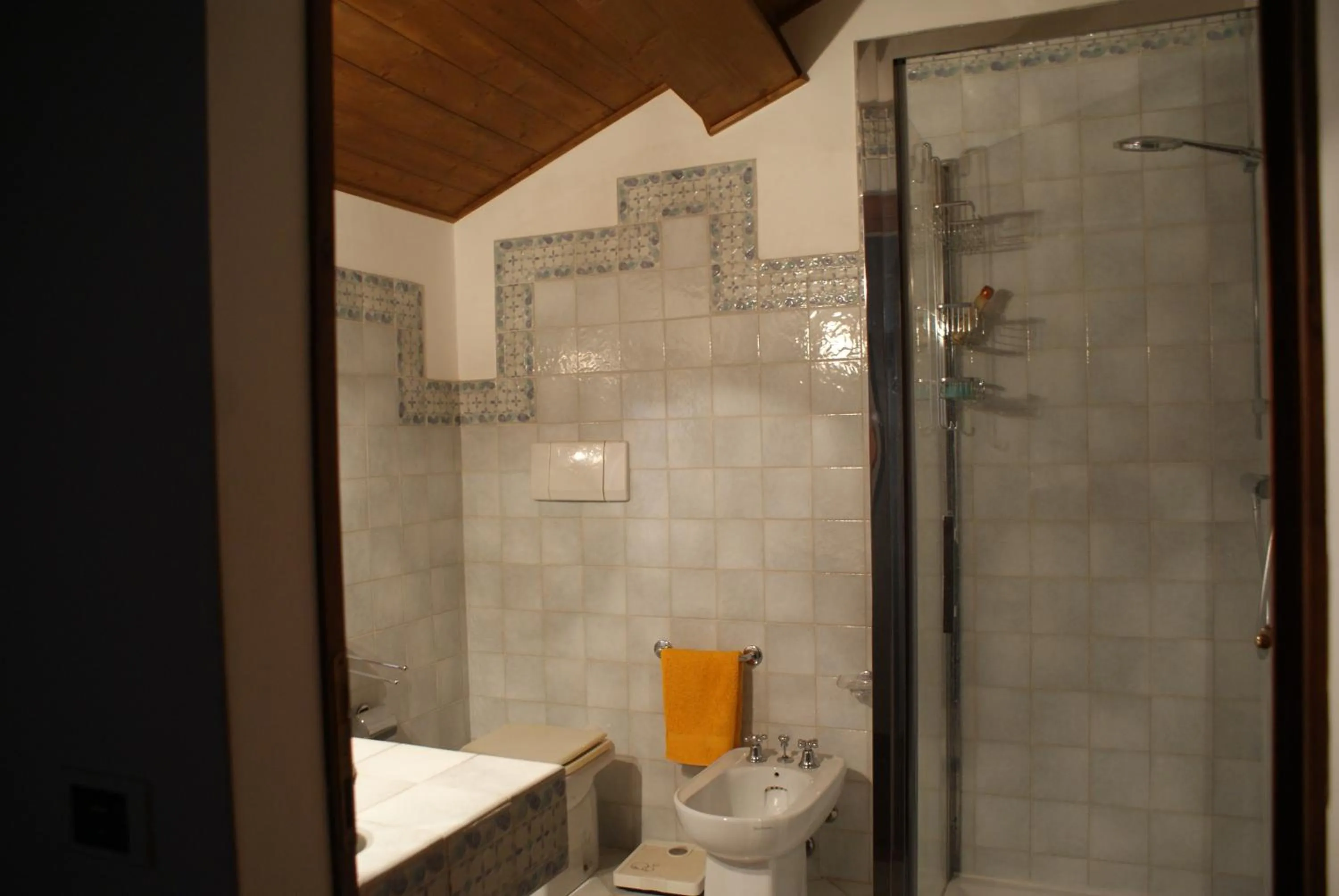 Shower in B&B Salvarosa