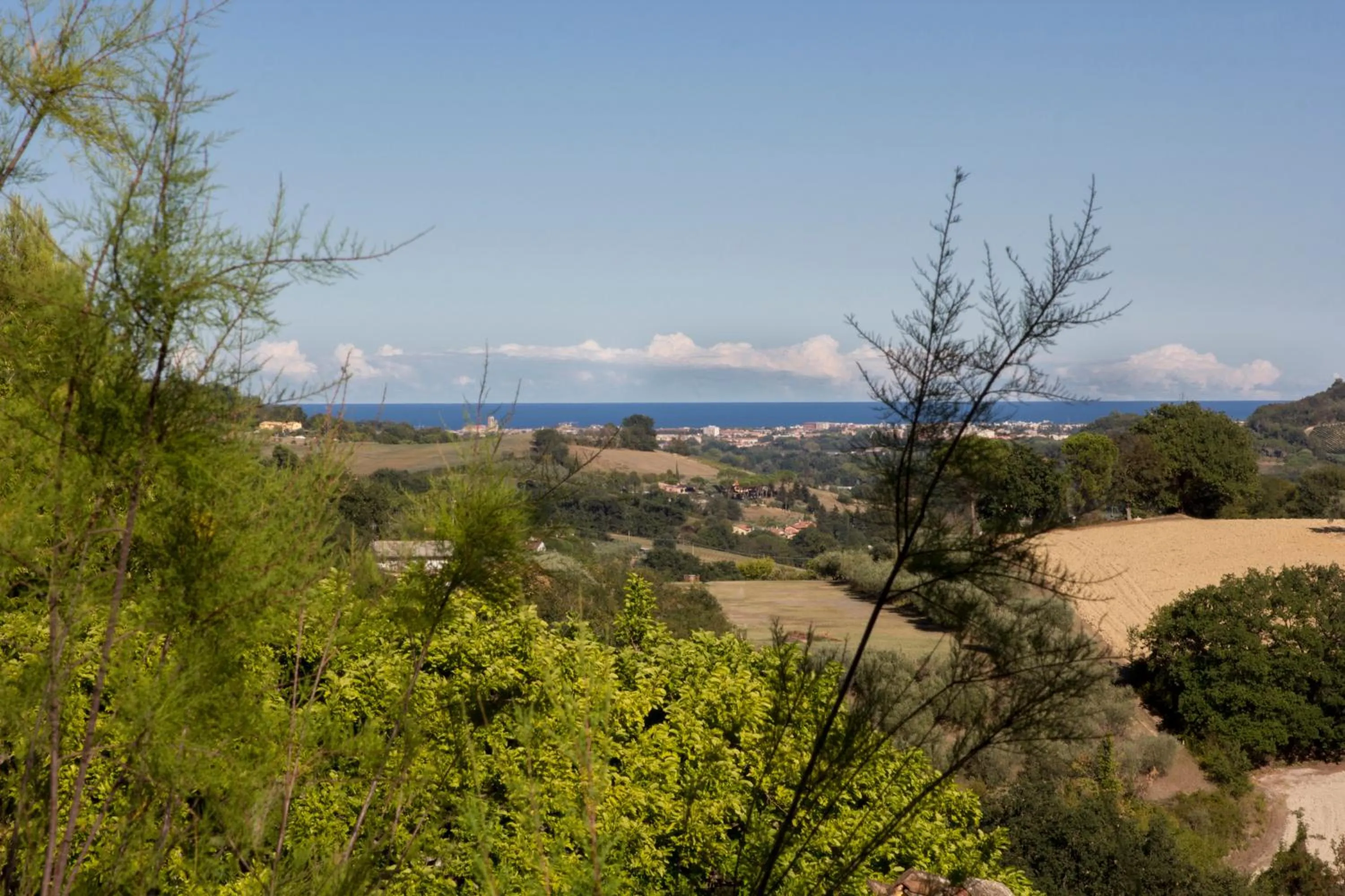 View (from property/room) in B&B Salvarosa