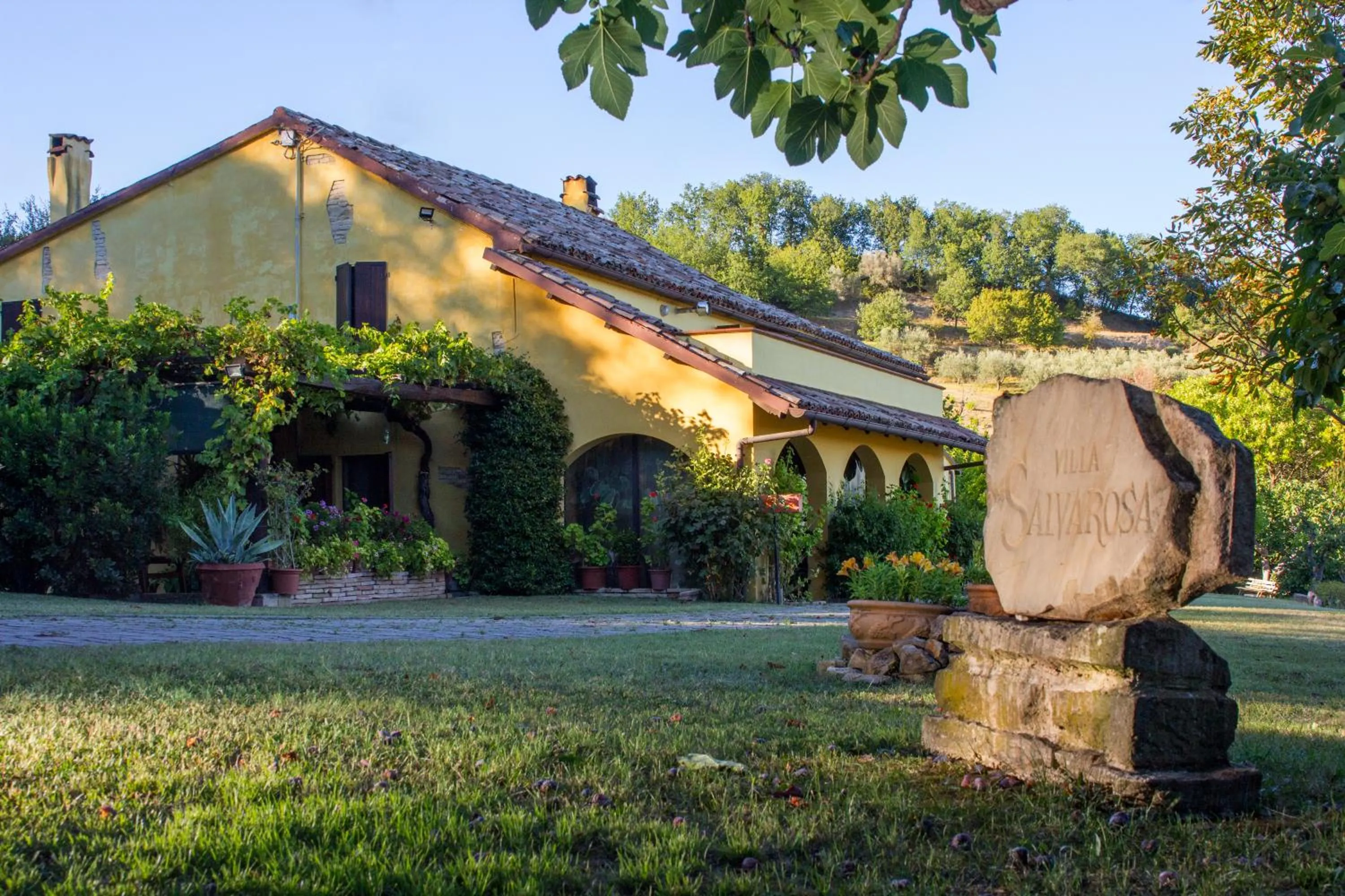 Property building in B&B Salvarosa