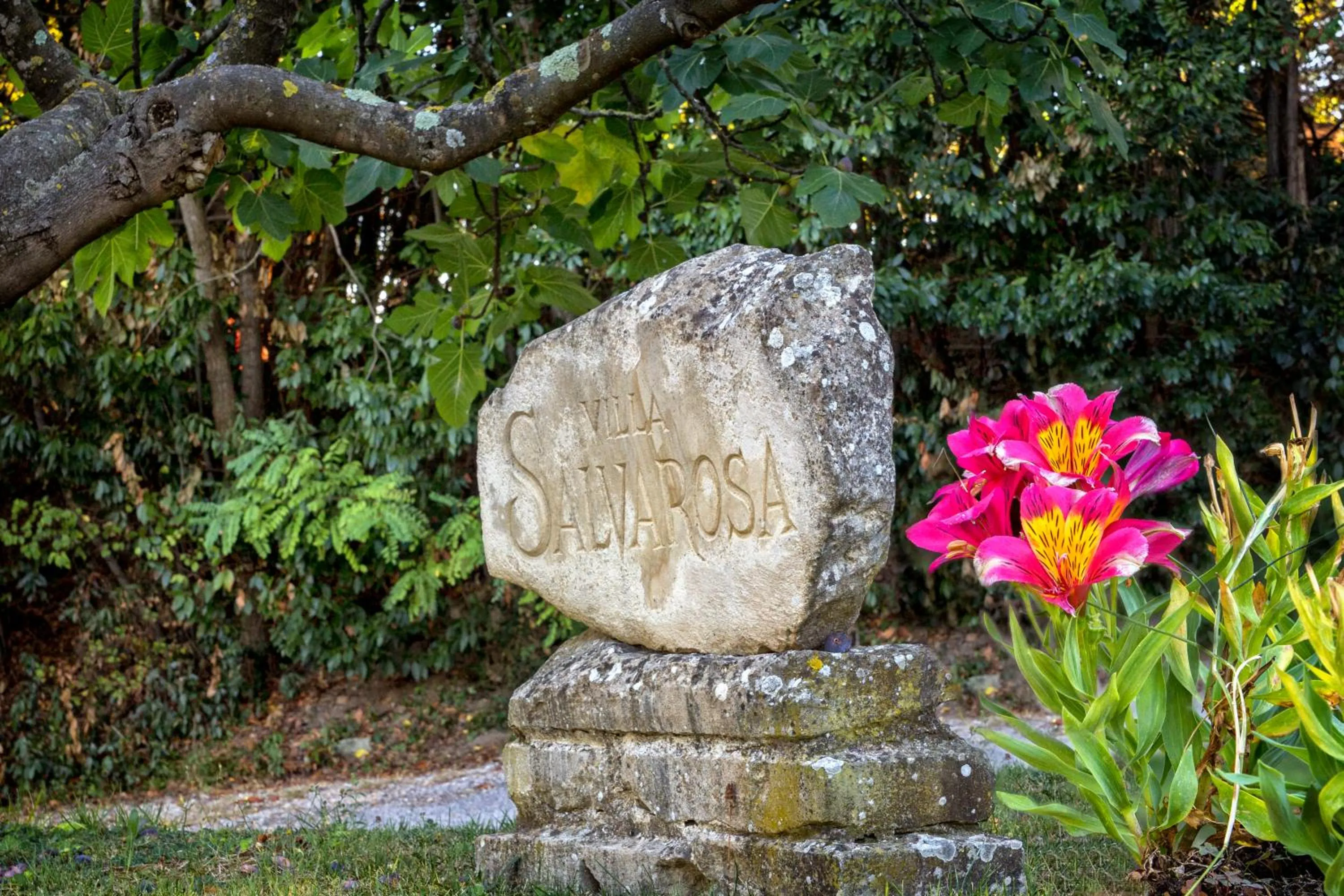 Garden in B&B Salvarosa