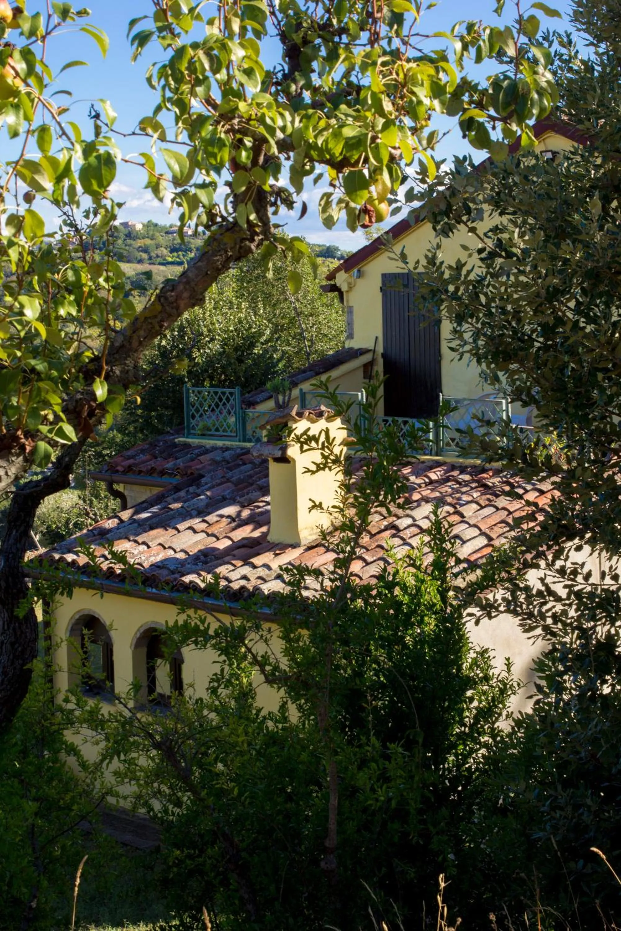 Garden view in B&B Salvarosa
