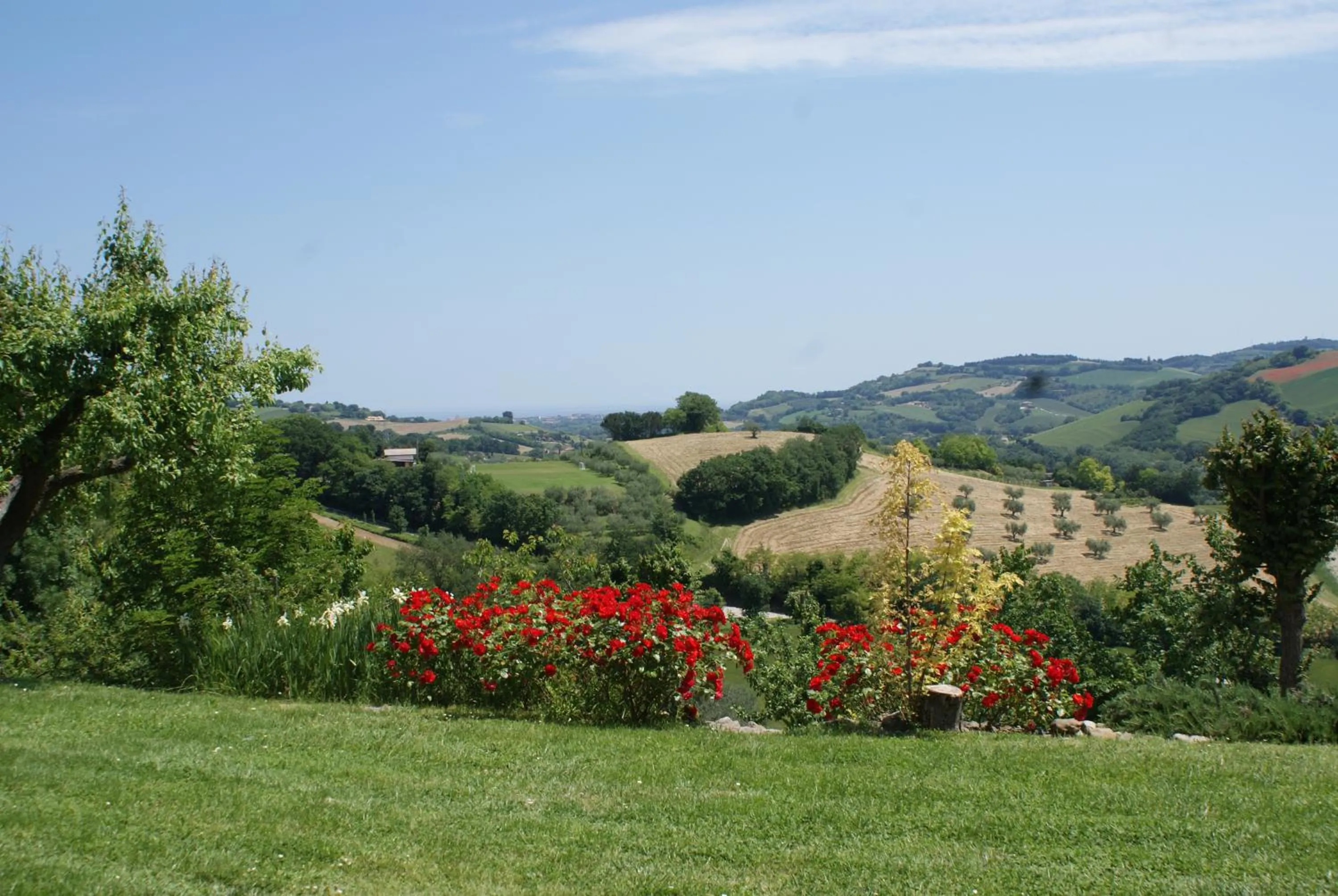 Bird's eye view in B&B Salvarosa