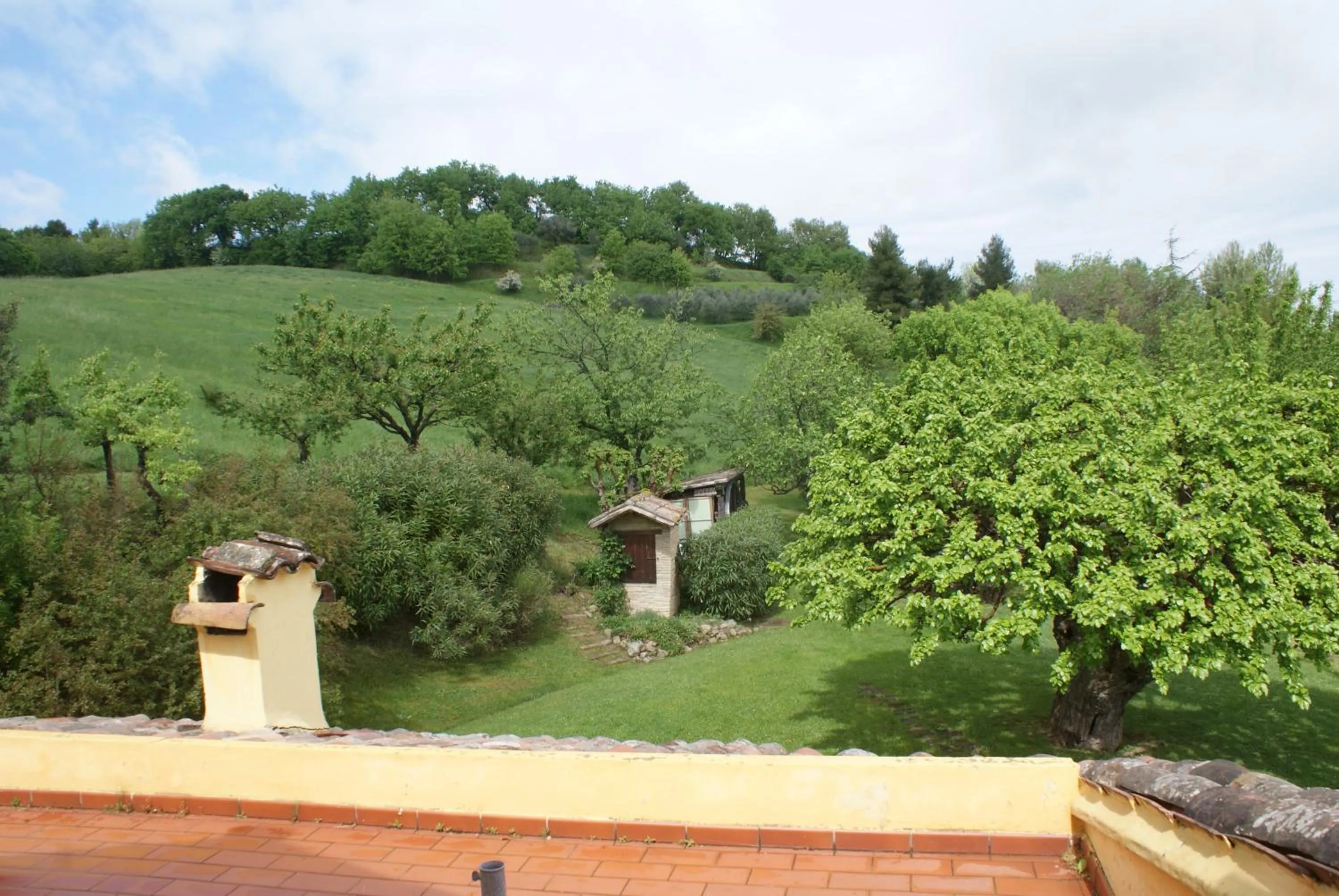 View (from property/room) in B&B Salvarosa