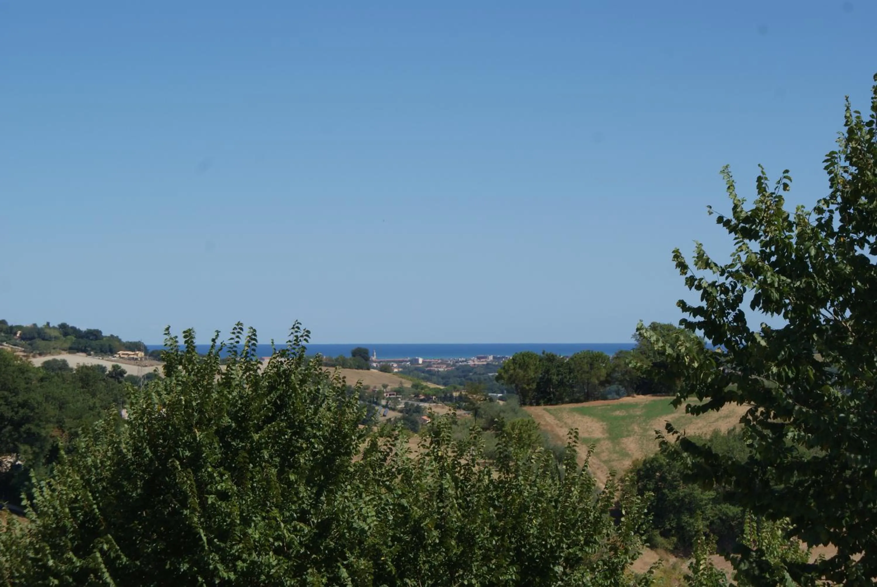 View (from property/room) in B&B Salvarosa